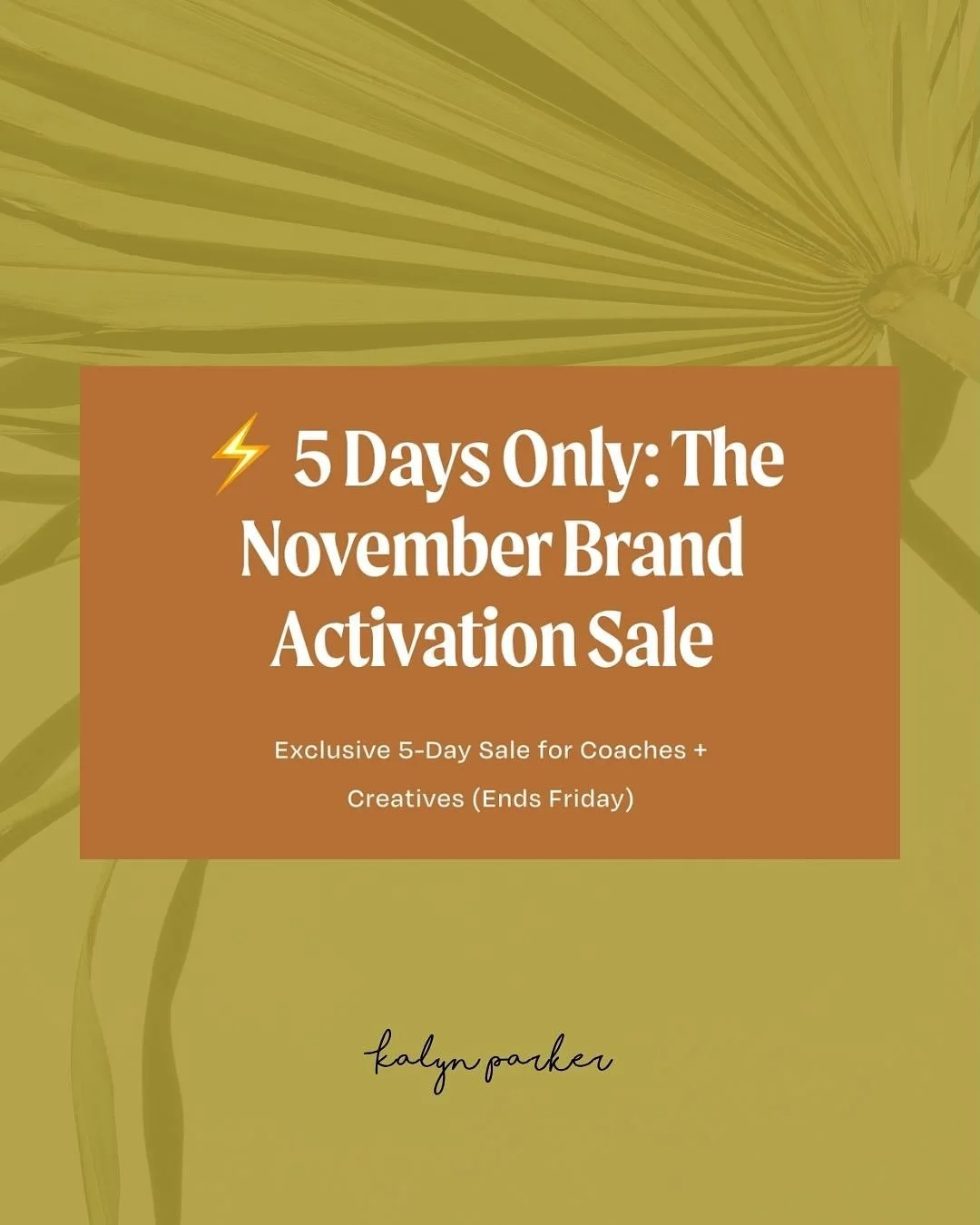 ⚡ 5 Days Only: The November Brand Activation Sale
Exclusive 5-Day Sale for Coaches + Creatives (Ends Friday)

What if 90 days from now you were showing up online with total clarity, a magnetic brand identity, and the systems in place to scale your in