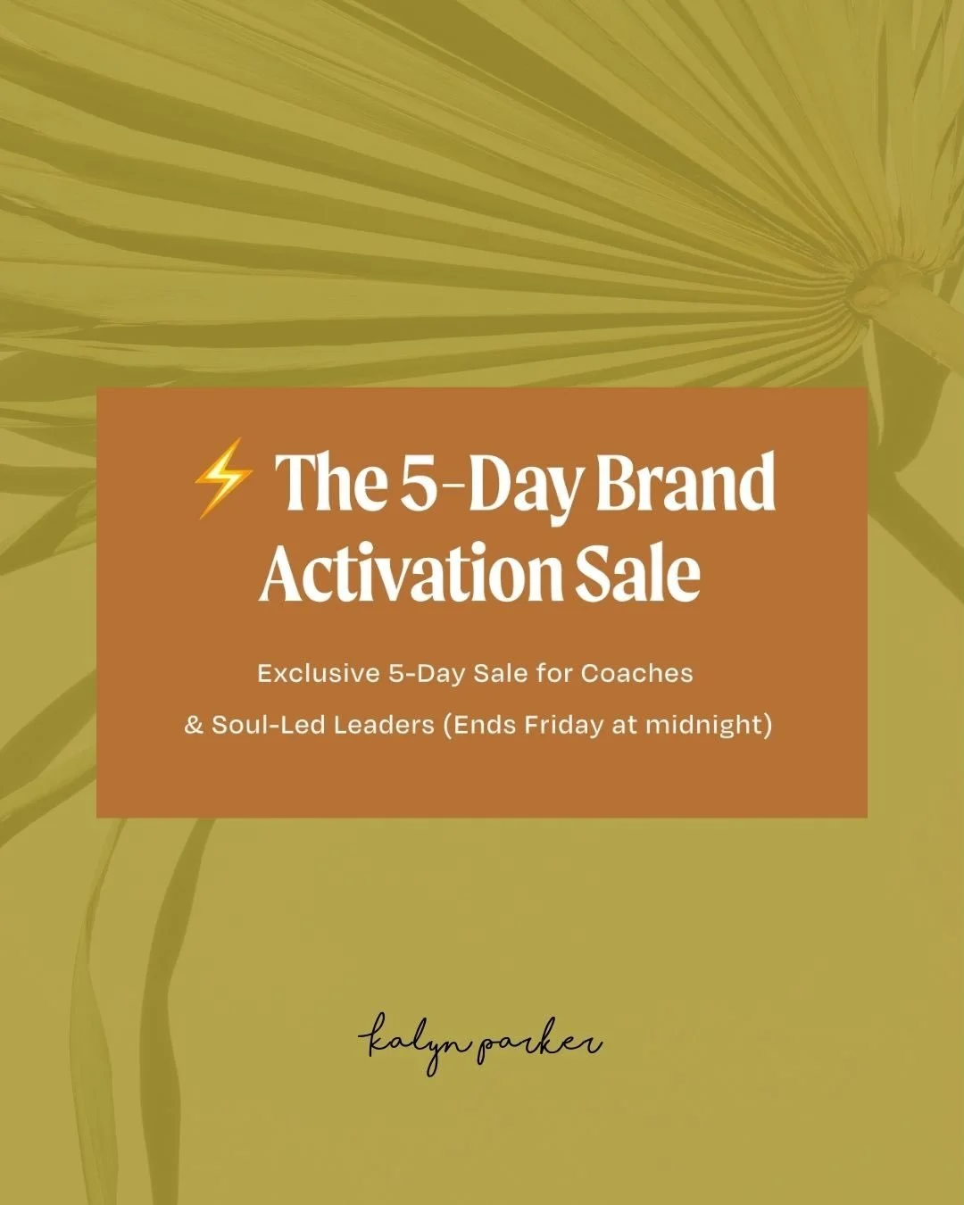 What if 90 days from now you were showing up online with total clarity, a magnetic brand identity, and the systems in place to scale your income and impact?
 
Imagine entering the new year already embodied in your leadership, with your business found