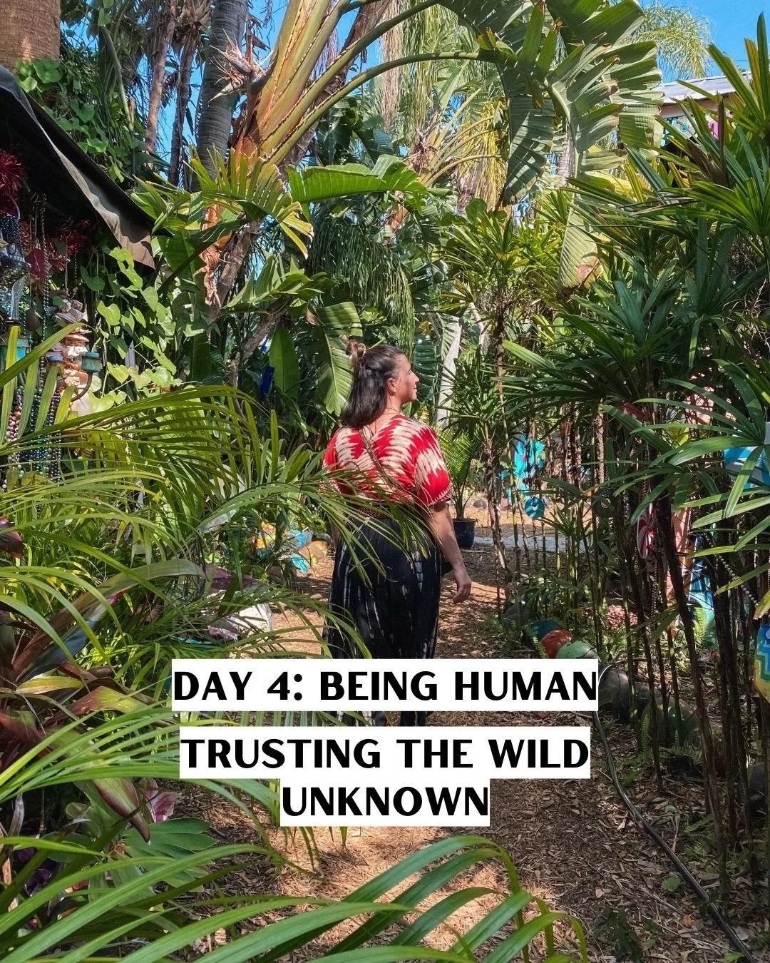 As the year of the snake sheds 🐍, and the year of the fire horse 🐦&zwj;🔥 is still a month away, I find myself in the territory of the wild unknown.

The wild unknown is the mysterious transition space between where you&rsquo;ve been and where you&