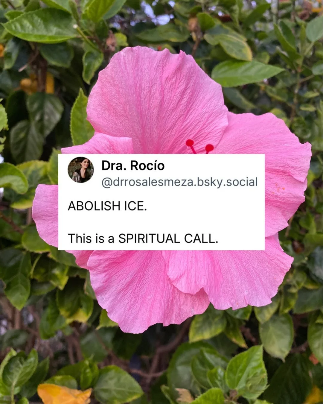 Abolish ICE. 🇺🇸🧊🚫

Resources poured into for-profit detention centers, violent raids, and government surveillance could actually be redirected from systems of control&ndash;to solutions rooted in collective wellbeing.

Safety doesn&rsquo;t come f