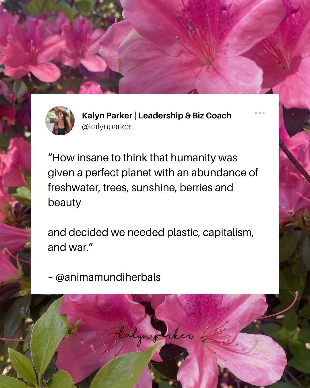 Every day is Earth Day. 🌍🌻🦋