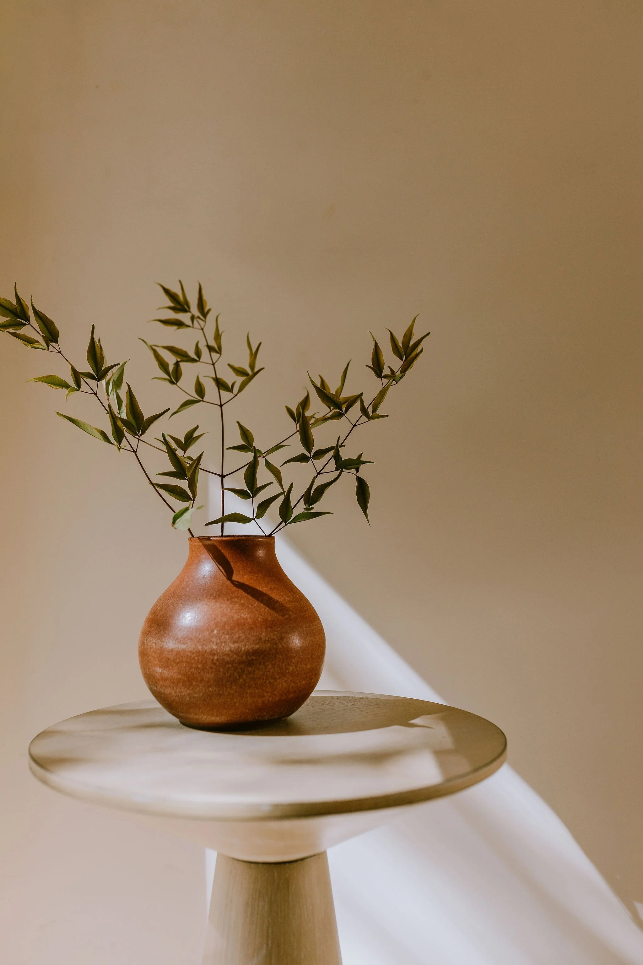 A terracotta vase holding green leafy branches is on a round tabletop, with a plain beige wall background and diagonal shadows.