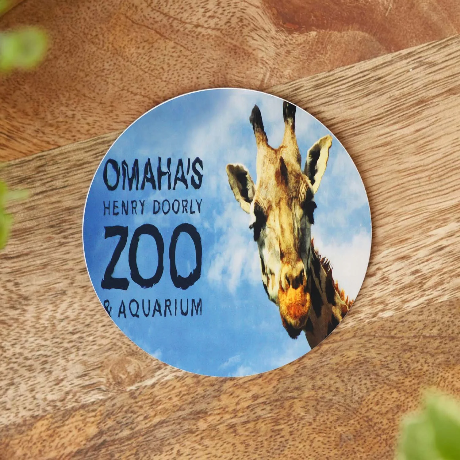 Henry Doorly Zoo Giraffe Coaster