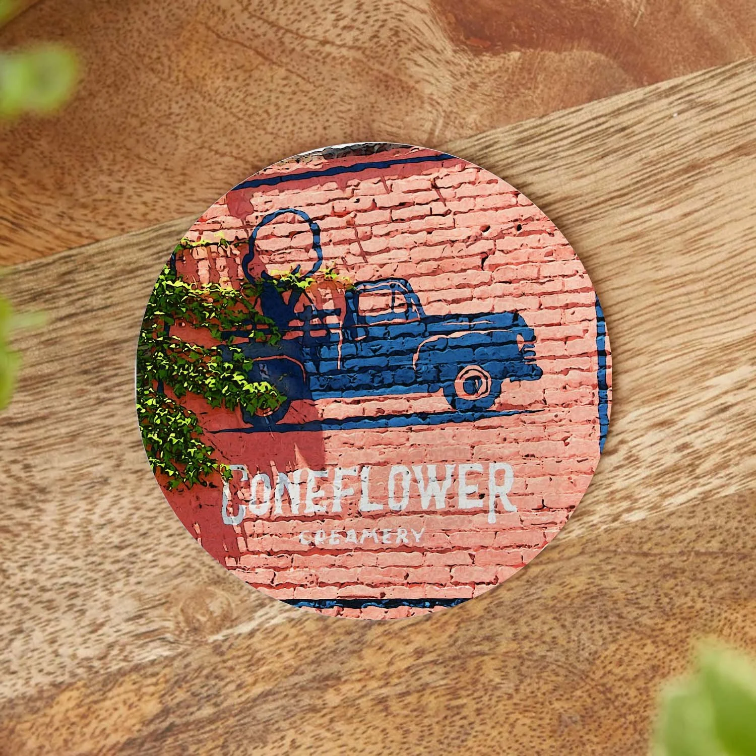 omaha-coasters-coneflower.jpg