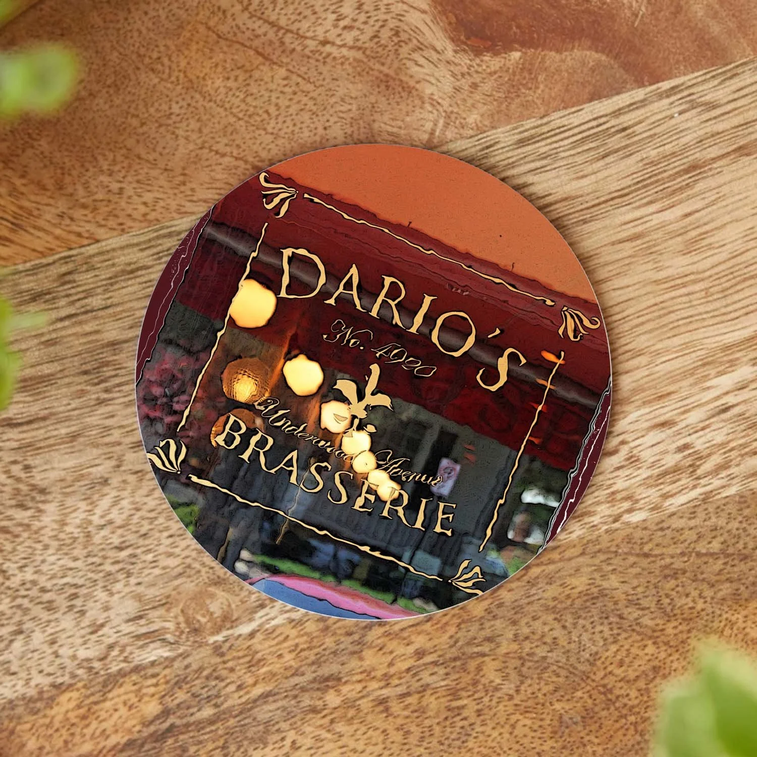 Dario's Coaster