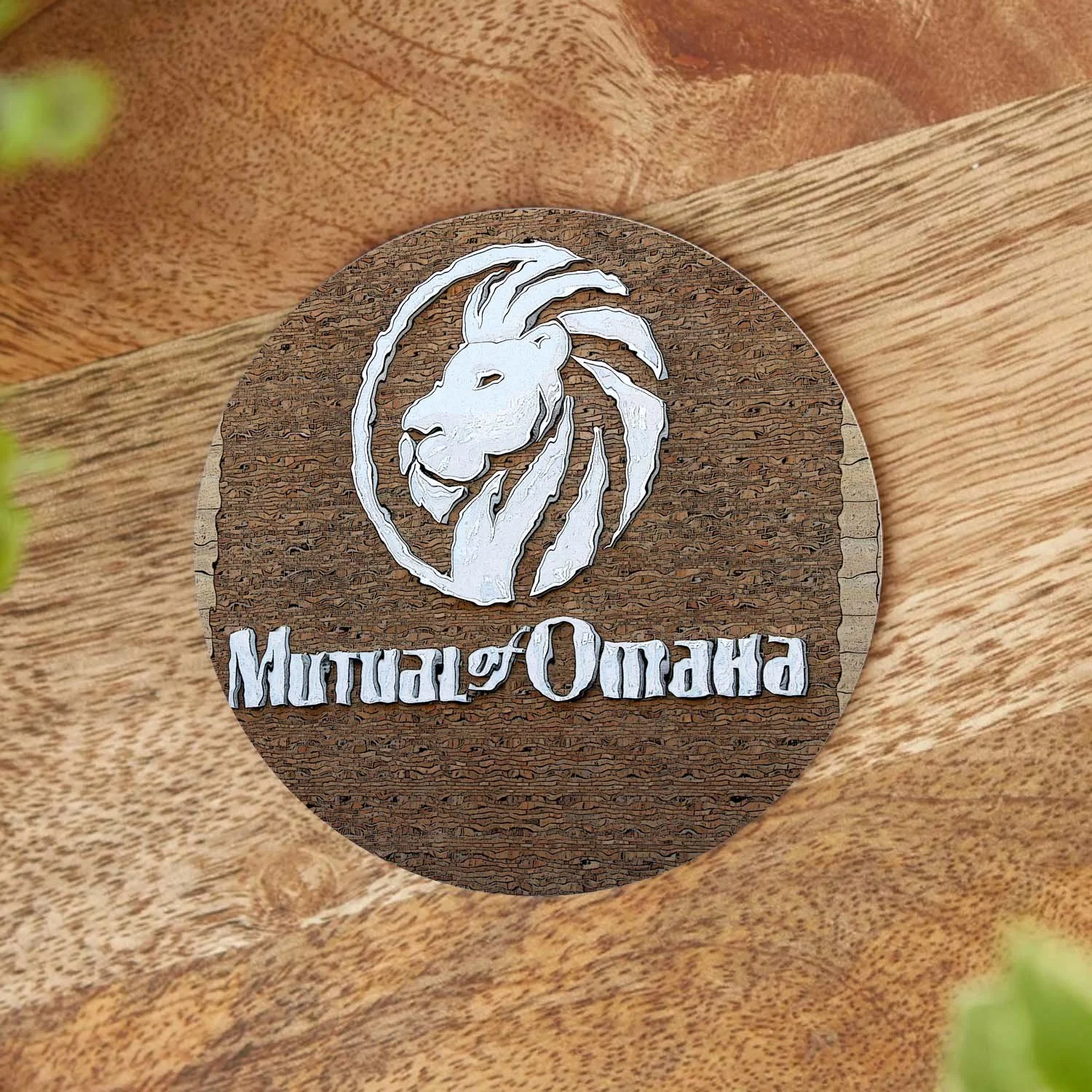 Mutual of Omaha Coaster 2