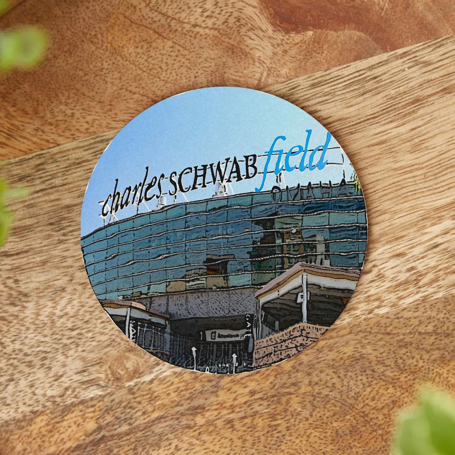 Charles Schwab Field Coaster