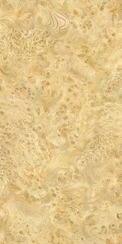   Light  Rad   

 Rad, Beige, Cream, Glossy, Woodgrain Effect, Organic, Porcelain, 24 x 48 in, 48 x 110 in, Sodai, 2026 
 