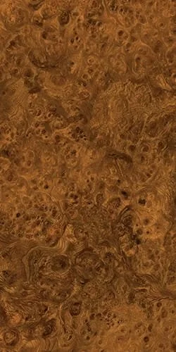 Rad Mid glossy porcelain tile with rich burlwood-inspired grain in amber and walnut tones