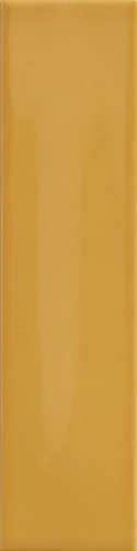   Mustard  Kappa  

 Kappa, Yellow, 2026 
 