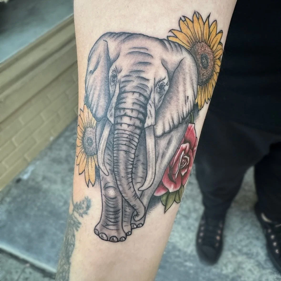 Kaylee - Elephant.jpg