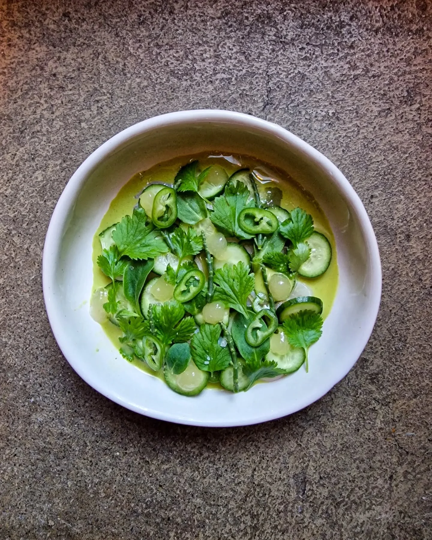 Nyeste tilskuddet p&aring; menyen er en aguachile p&aring; hamachi fra Fredrikstad, knivskjell og en hylleblomstgel&eacute;, med masse digge urter og kos 🫶
God fredag folkens!! 😊

#ceviche #aguachile #nordic