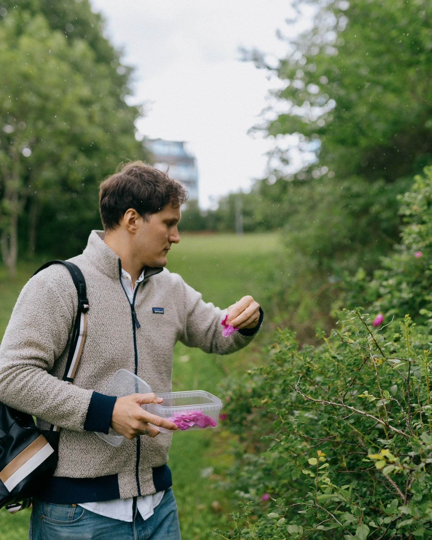 KONGSBERG🍀

F&oslash;rstkommende fredag mellom 12:00-12:30 skal jeg ha et foredrag p&aring; biblioteket i anledning Milj&oslash;kofestivalen 🌞

Det blir snakk om sanking, artene du finner n&aring;, salg av b&oslash;ker og merch og ikke minst MAT!

