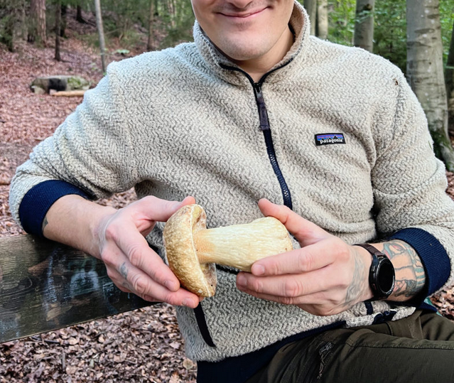 ravneberget, jørgen ravneberg, sanking, ville vekster, bærekraftig mat, norsk natur, sankebøker, sankeren og kokken, kurs i sanking, tang og urter, norsk råvarebruk. Steinsopp, norsk sopp, soppsanking
