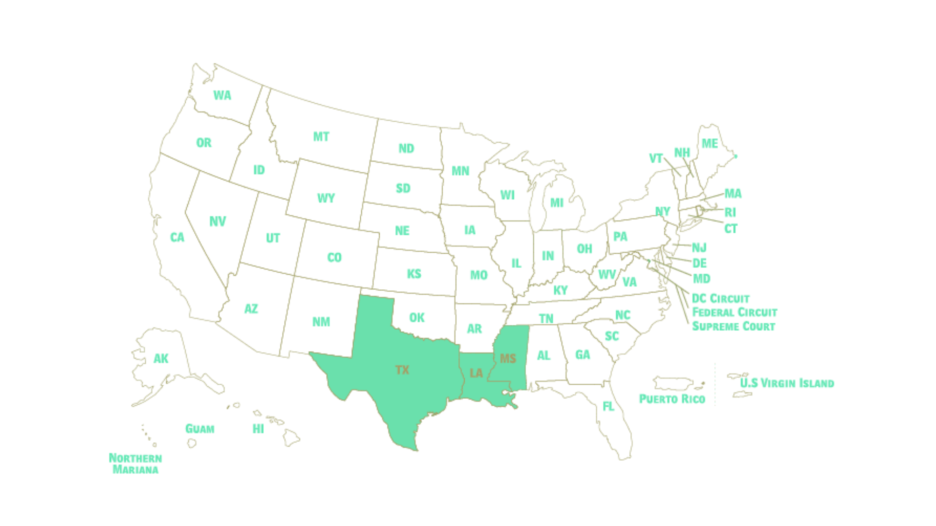 Federal Fifth Circuit Court of Appeals Attorney