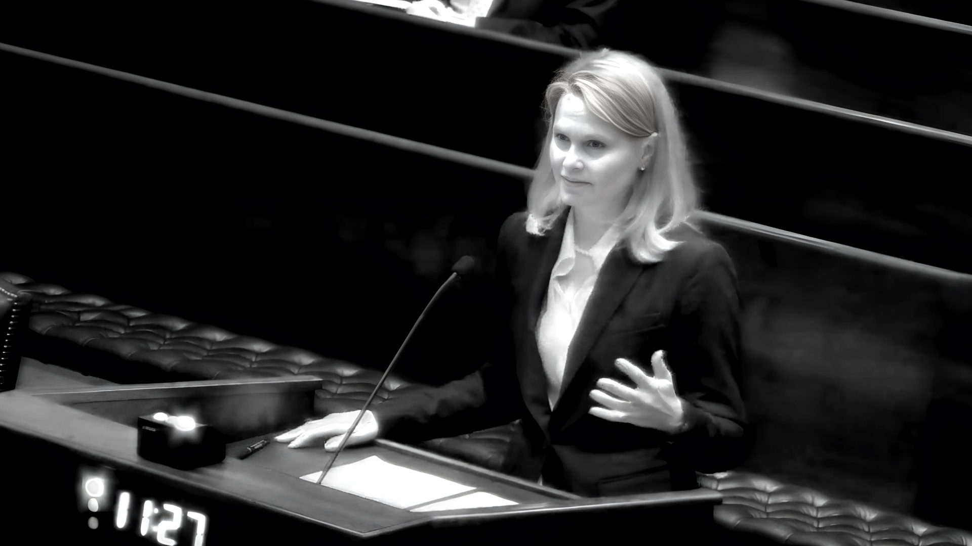 Lawyer Elizabeth Franklin-Best