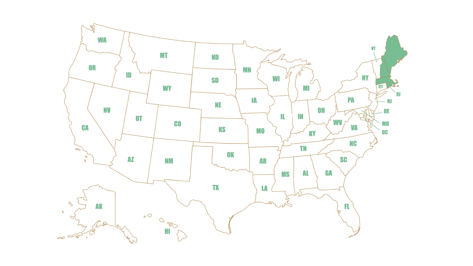 Federal First Circuit Court of Appeals Attorney
