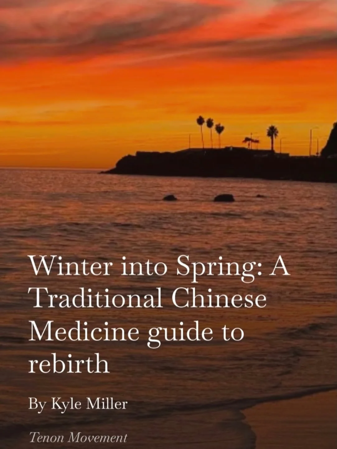 Our latest Substack has published! 

Winter into Spring: A Traditional Chinese Medicine Guide To Rebirth, by Kyle, breaks down the seasonal dialogue she uses to move through transition and hardship. Learn about yin and yang and how to harmonize with 