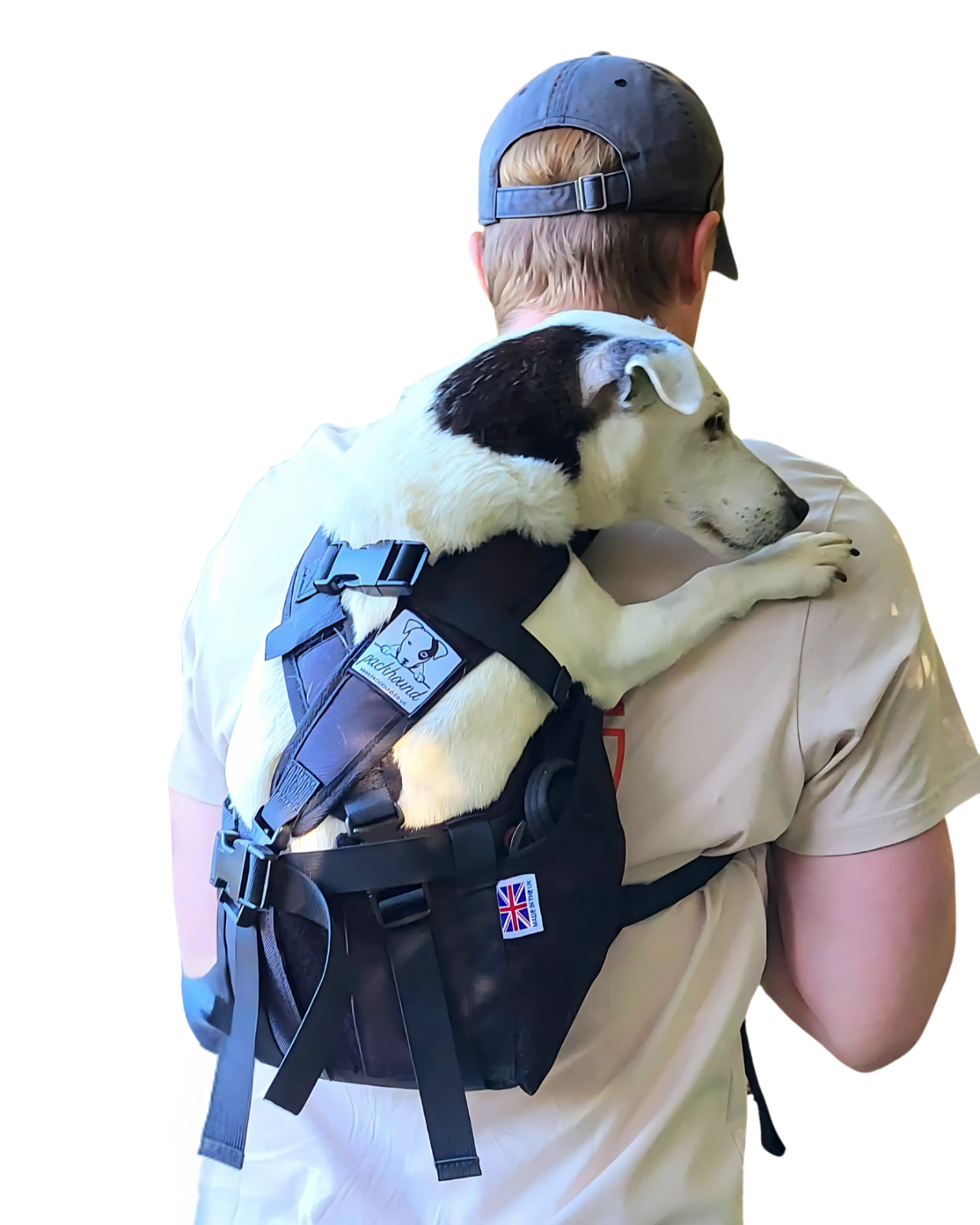 Image1.png
