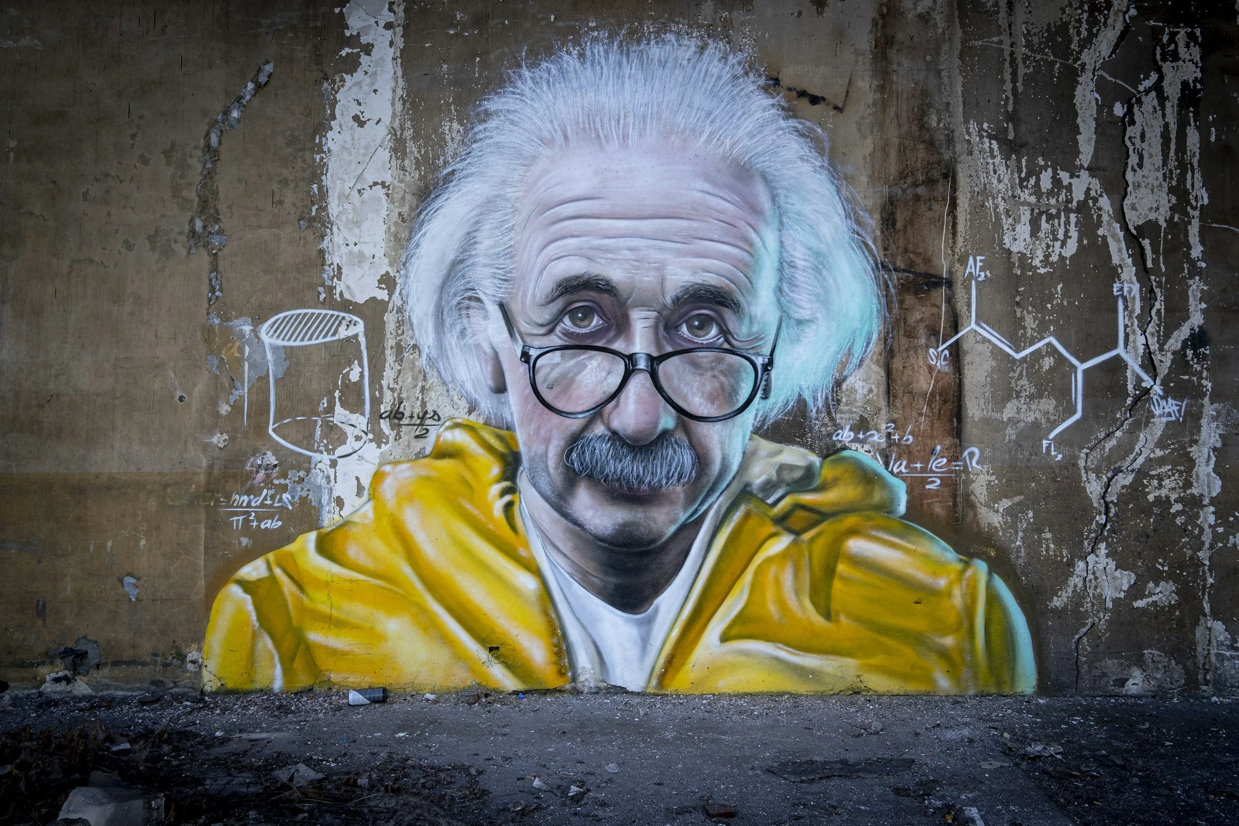 Nootropics &amp; Focus: How Mushrooms Support the Brain