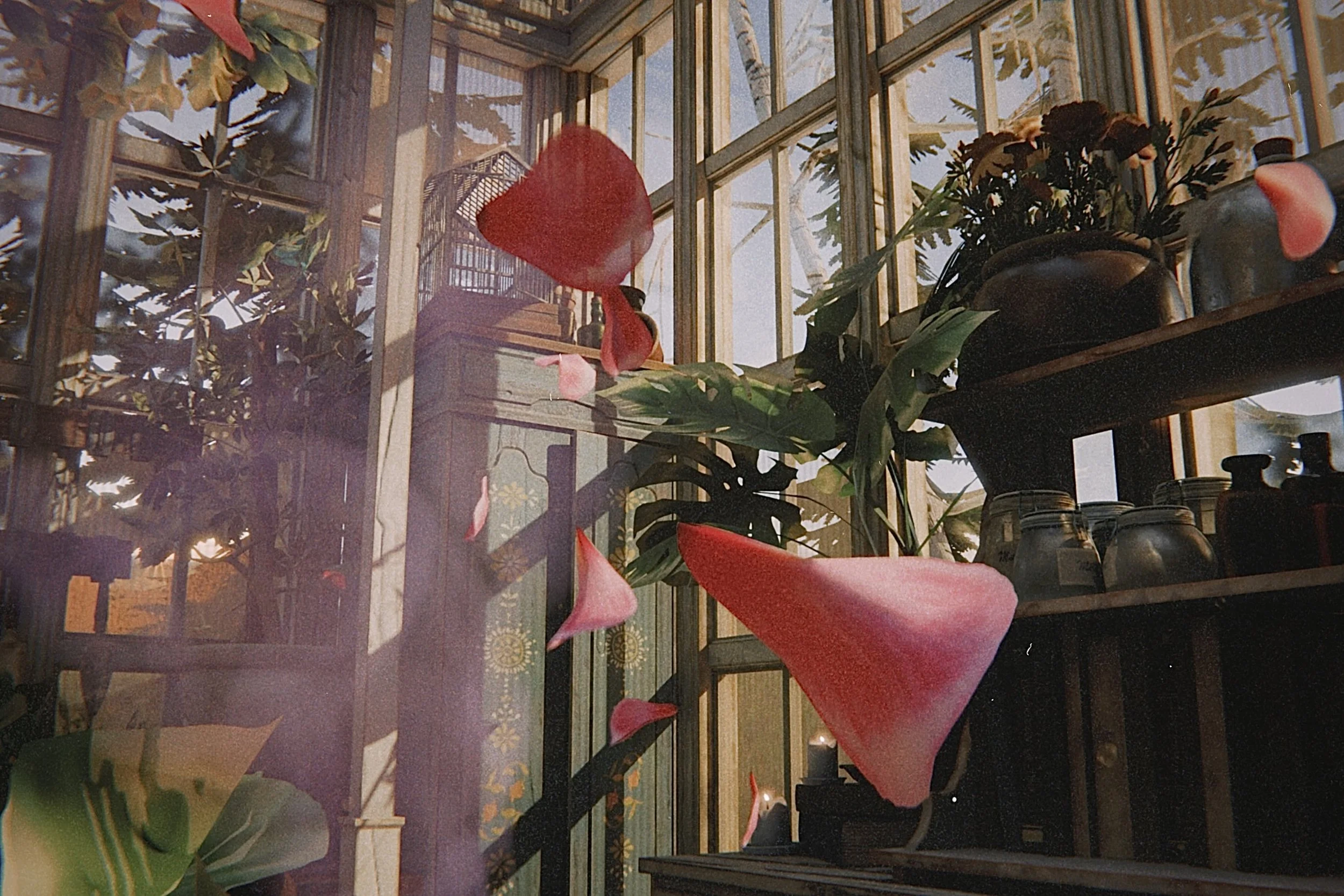 View of an indoor greenhouse with large potted plants, a wooden shelf, and sunlight coming through glass walls and ceiling.
