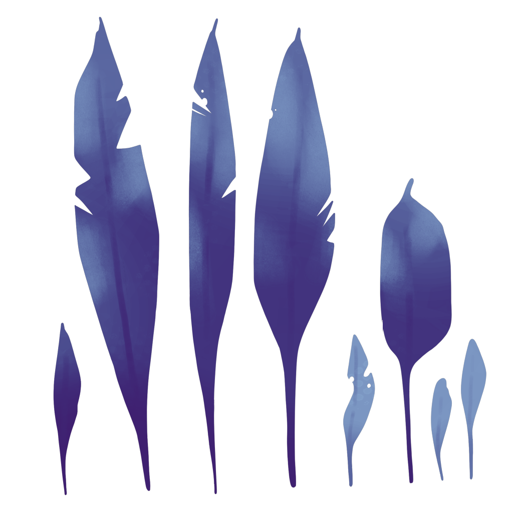 Illustration of abstract purple feathers with varying shapes and sizes on a black background.