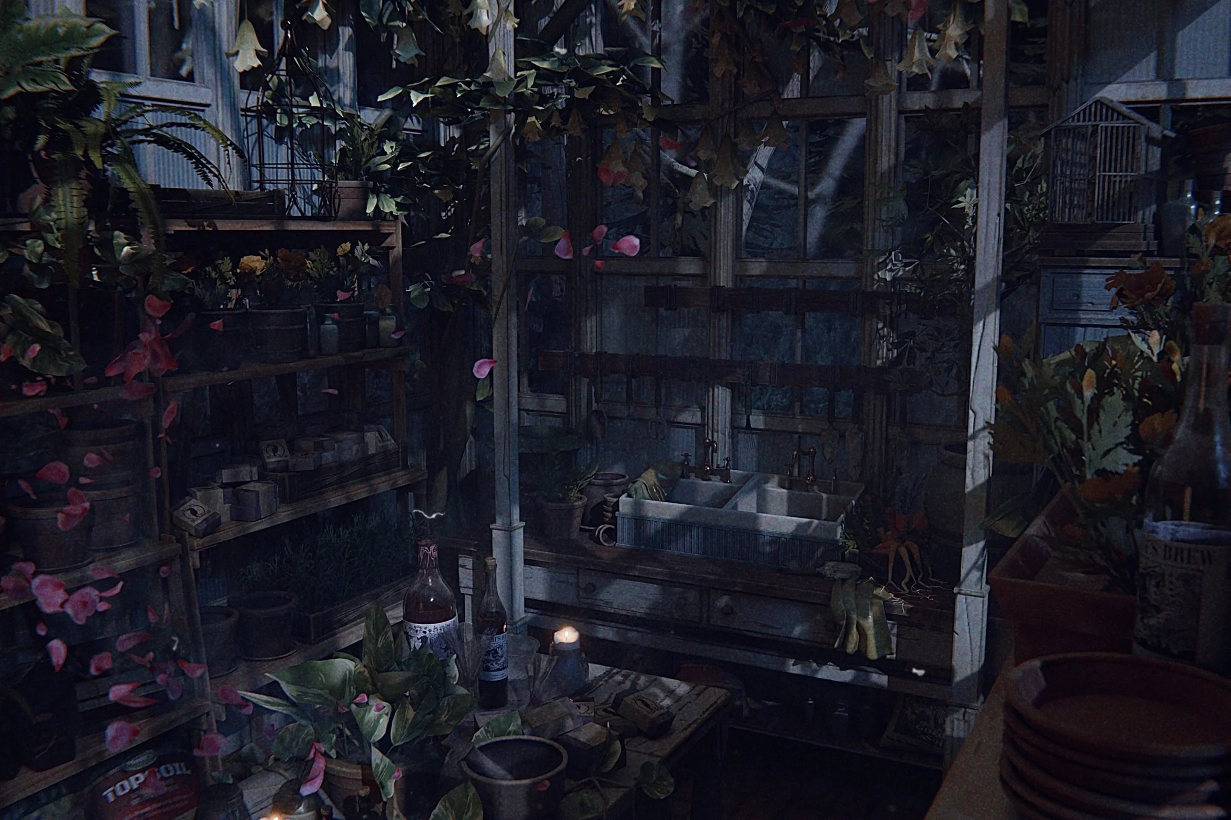 A greenhouse or garden shed filled with plants, flowering and potted, and gardening supplies, with a small sink and a candle on a table.