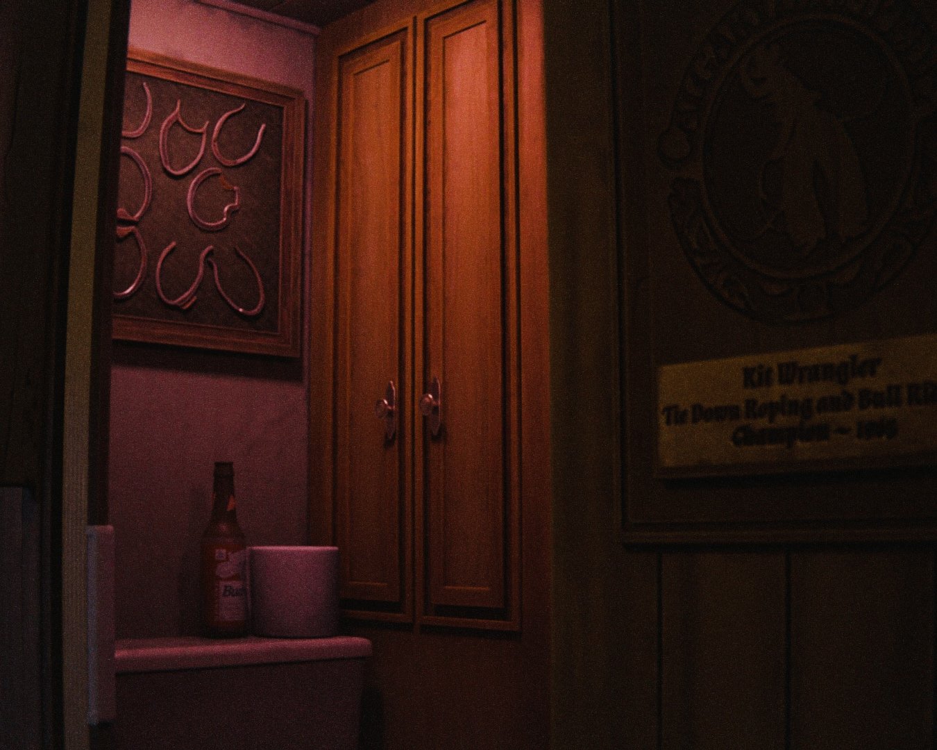 Dimly lit corner of a bar or restaurant with wooden cabinets, a framed decorative piece on the wall, a bottle of Budweiser, and a tissue paper roll on a ledge.