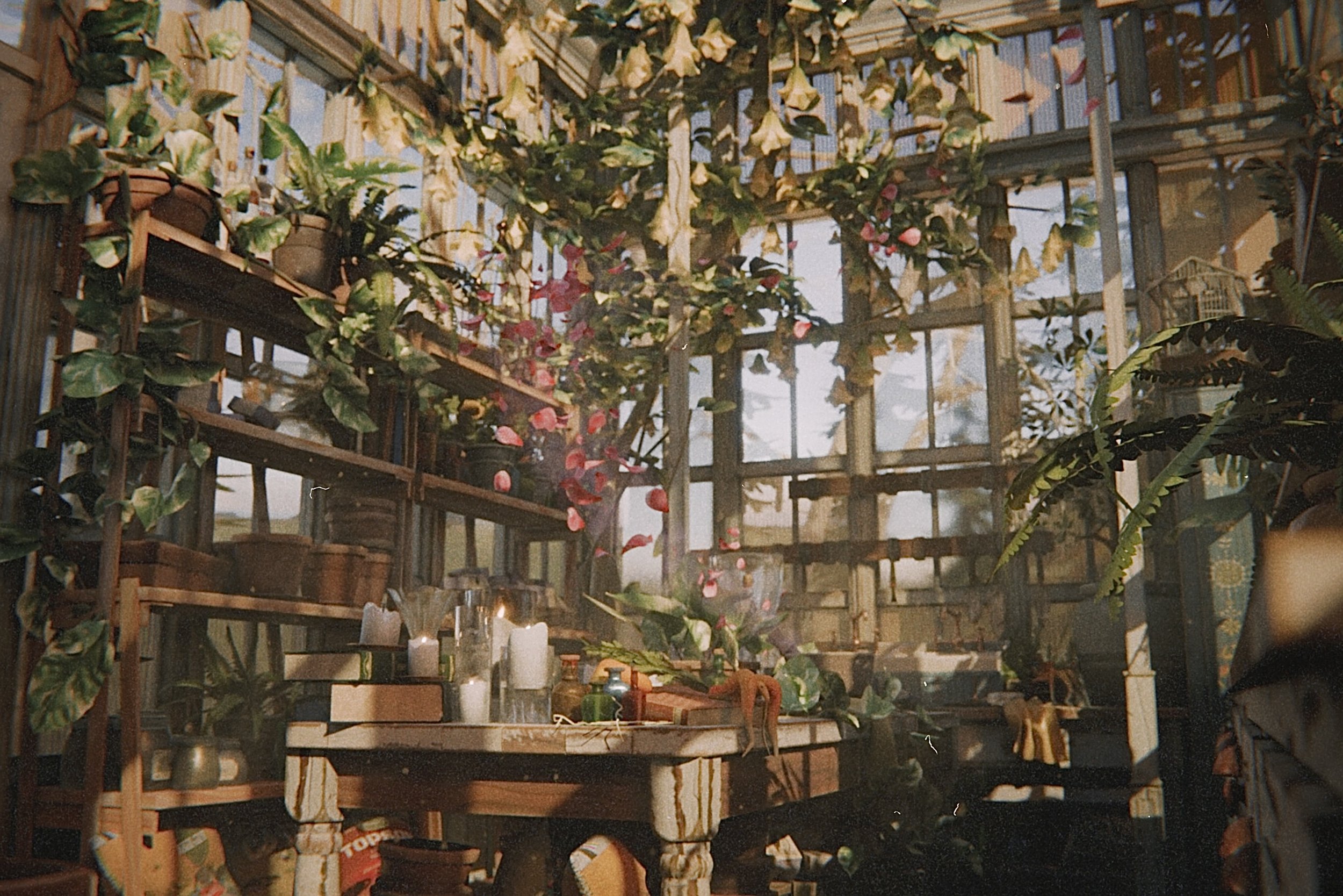 Interior view of a greenhouse or garden room with wooden shelves filled with potted plants and flowers hanging from the ceiling, and various gardening supplies on the tables.