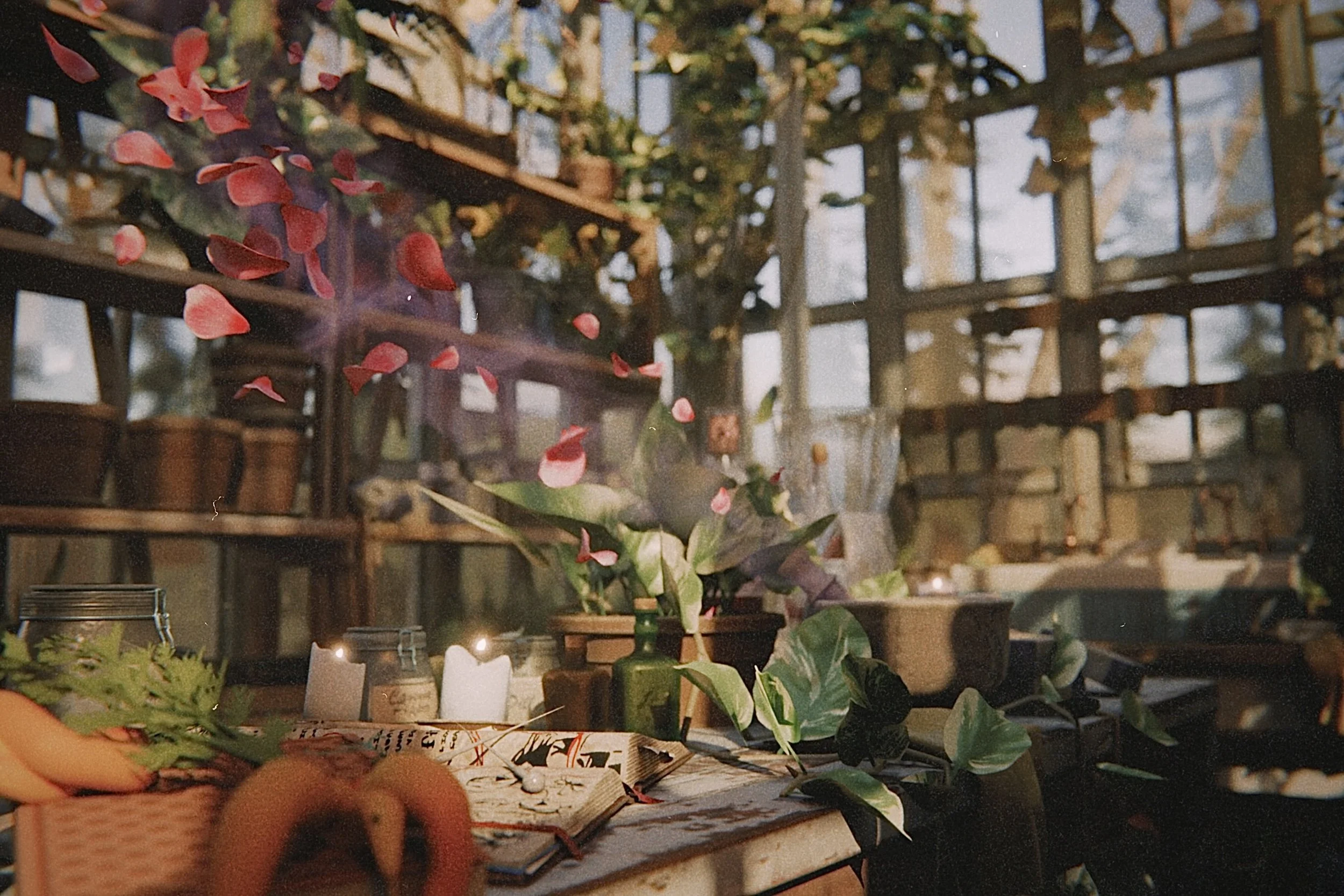 Indoor scene with a table decorated with candles and green foliage, with a background of a wooden shelf filled with potted plants and framed pictures.