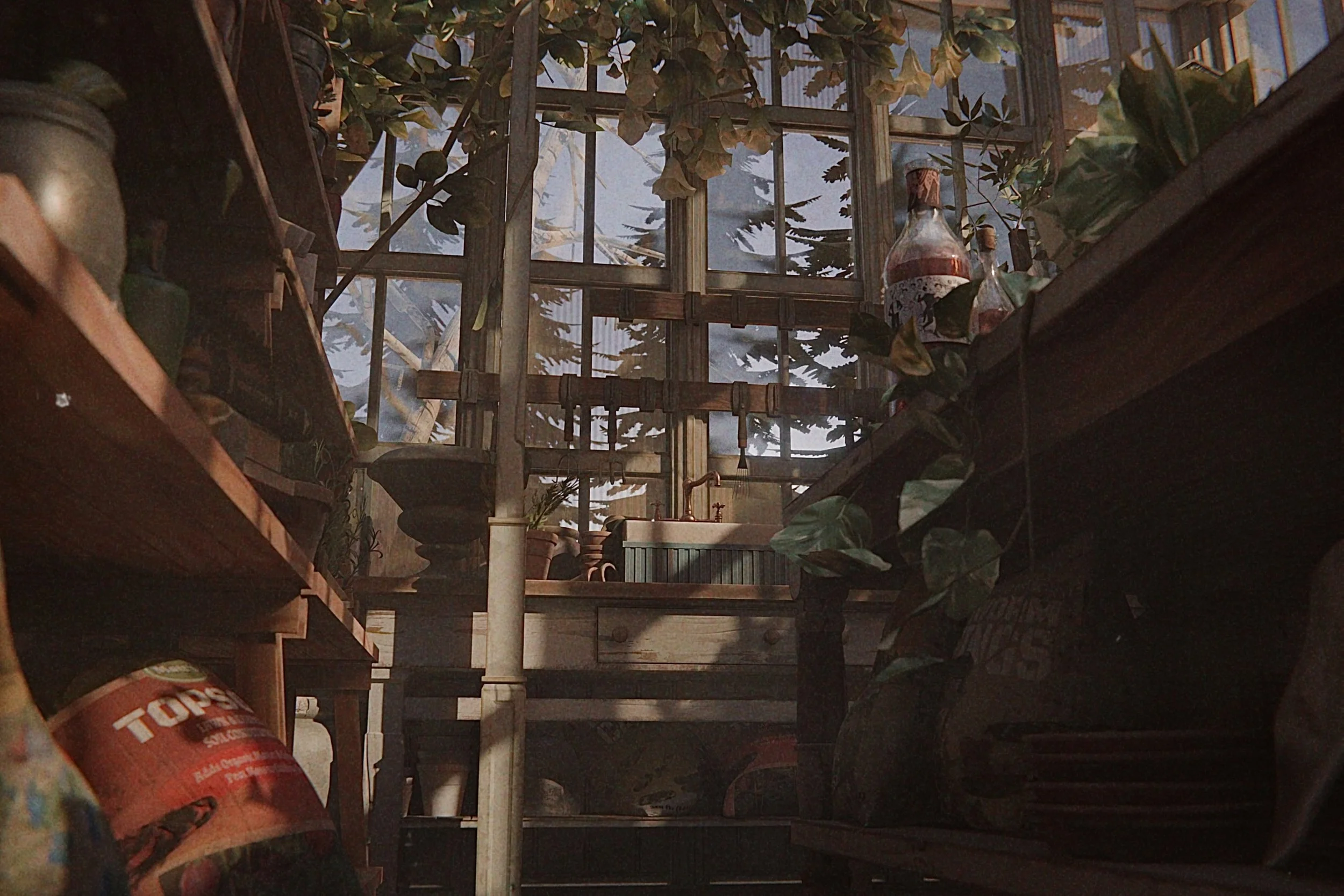 Interior view looking up through a glass ceiling with wooden framing, surrounded by greenery and potted plants, including a copper watering can on the right side.