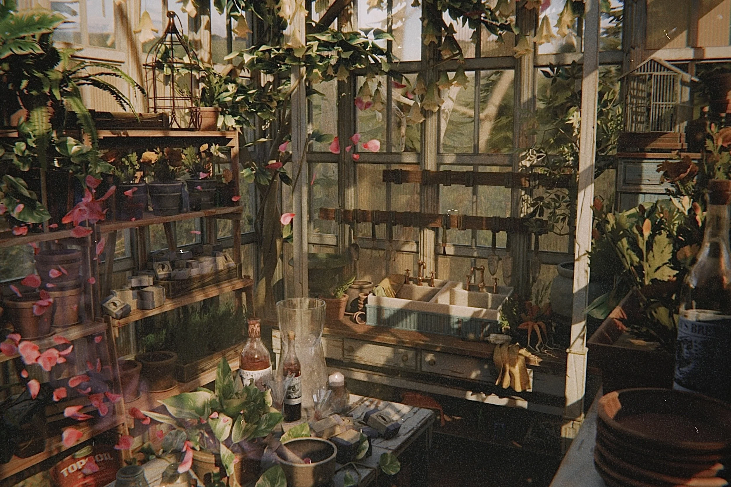 A glass greenhouse filled with various potted plants, flowers, gardening supplies, and sunlight streaming through the windows.