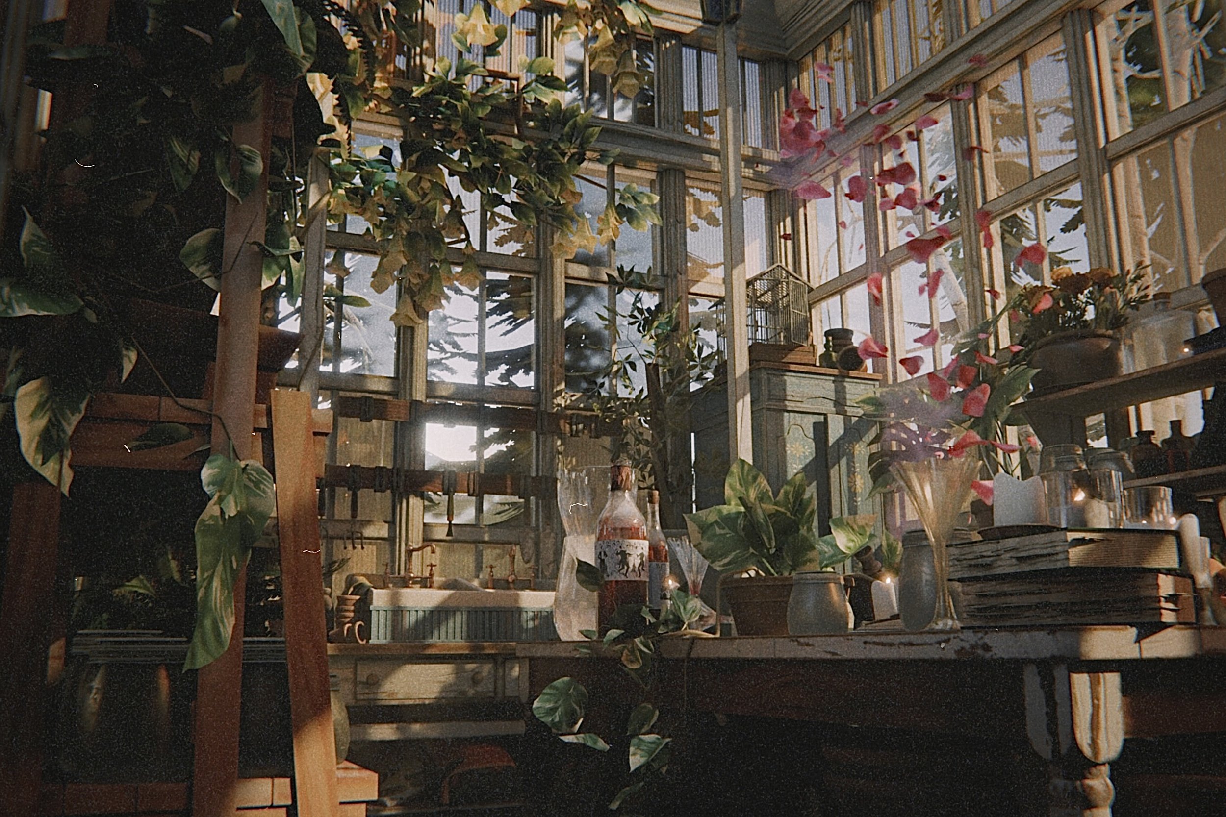 A cozy indoor space with a glass greenhouse wall filled with green plants, pink flowers, books, and various decorative items, illuminated by sunlight.