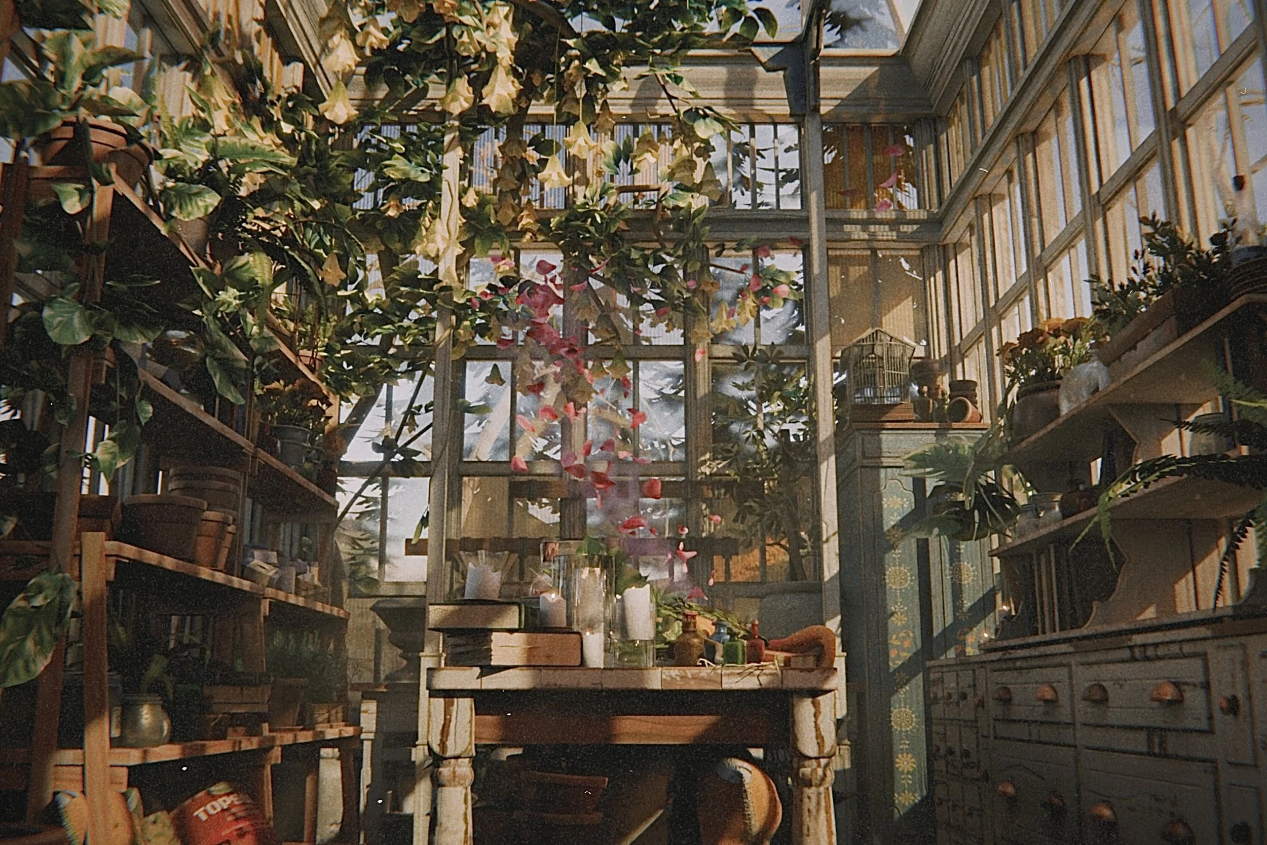 A greenhouse with plants and flowers on wooden shelves and glass panels overhead.