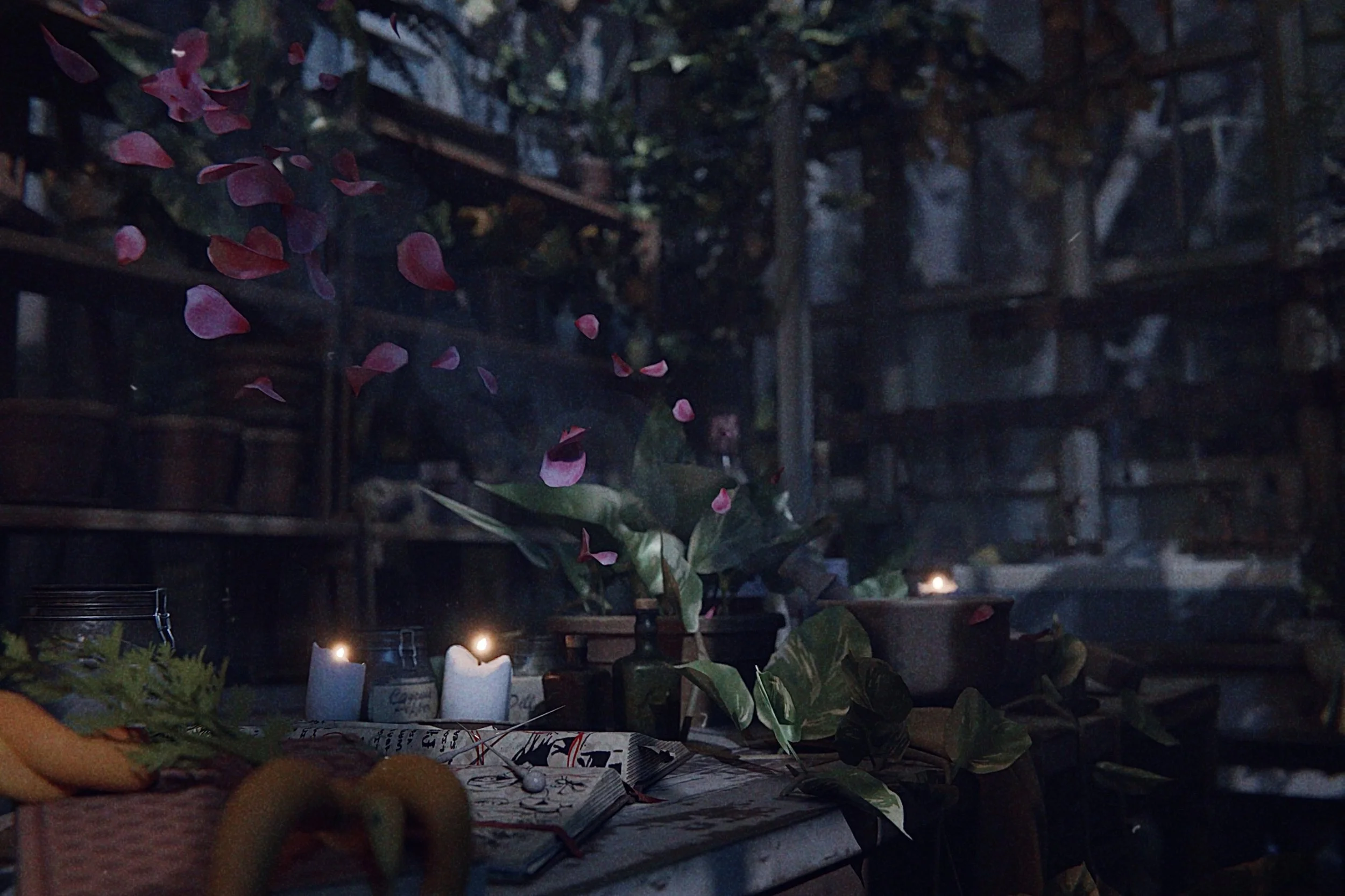 A dark image showing a cozy indoor setting with plants, lit candles, and some wrapped gifts or decorations on a table.
