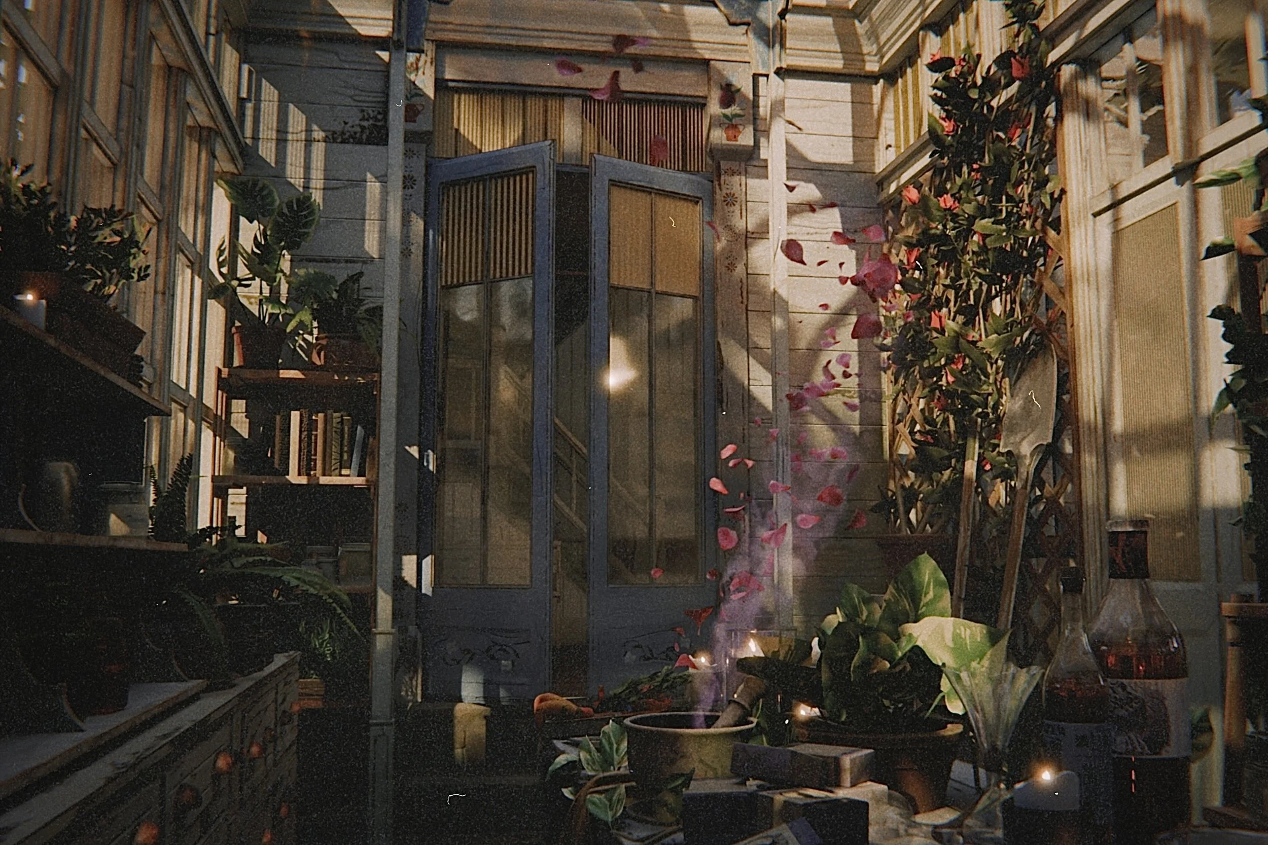Interior of a greenhouse with various potted plants, a glass door, and wooden shelving, with pink flower petals scattered on the floor.