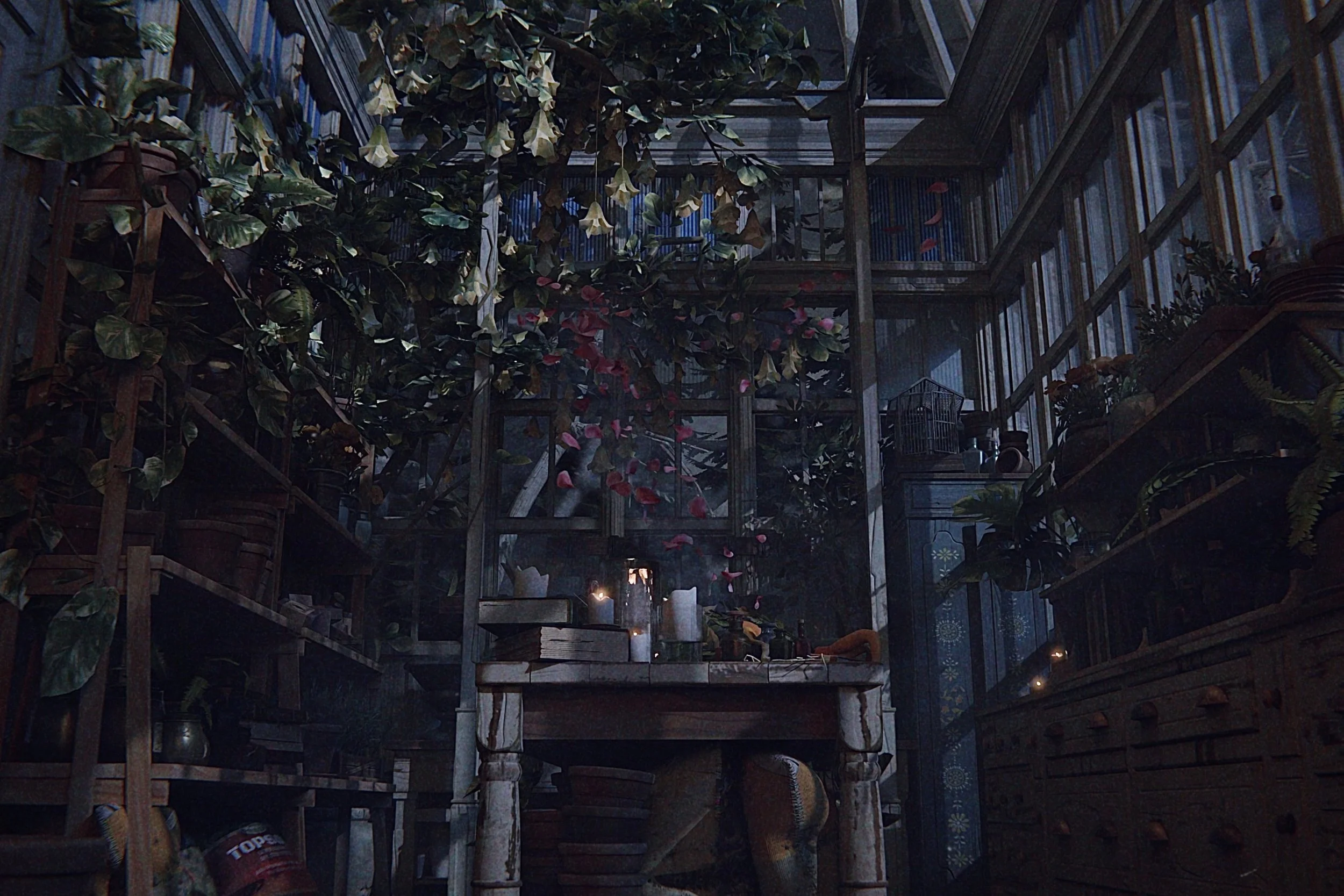 Interior of a greenhouse or botanical space with wooden and metal structures, lush hanging and potted plants, and natural light filtering through glass panels.