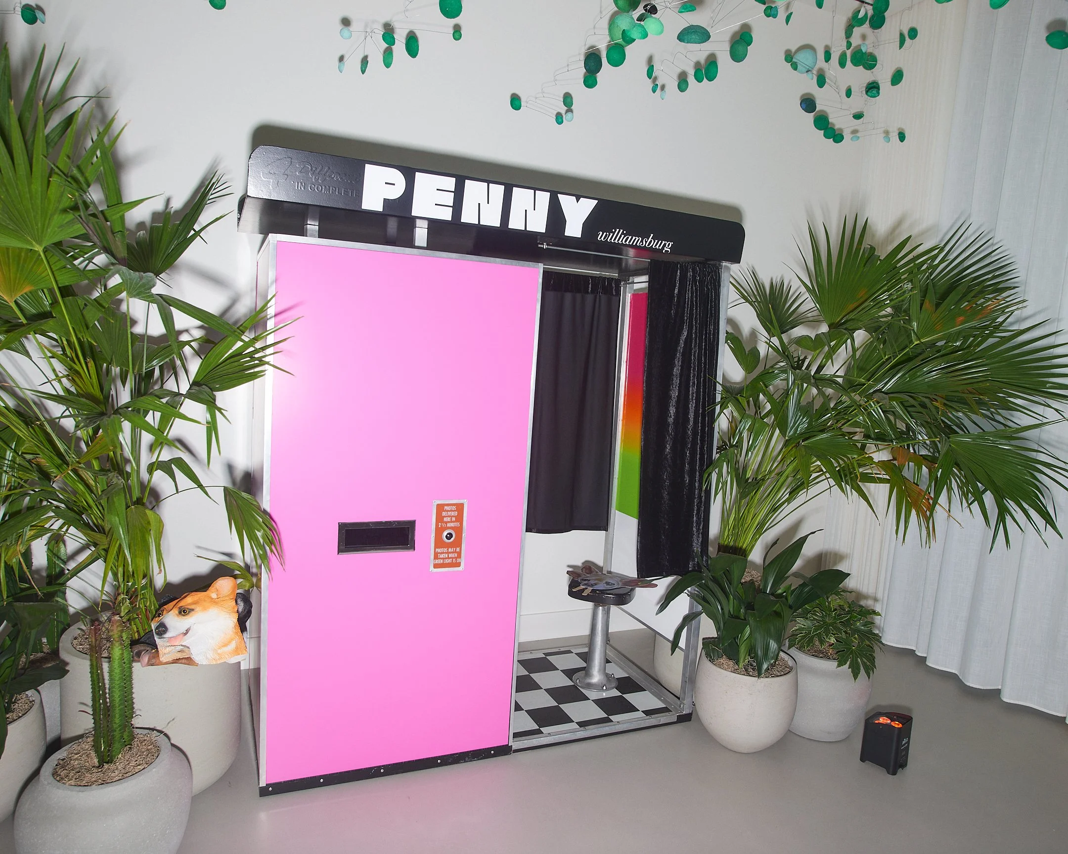 20230512-Penny-068.jpg