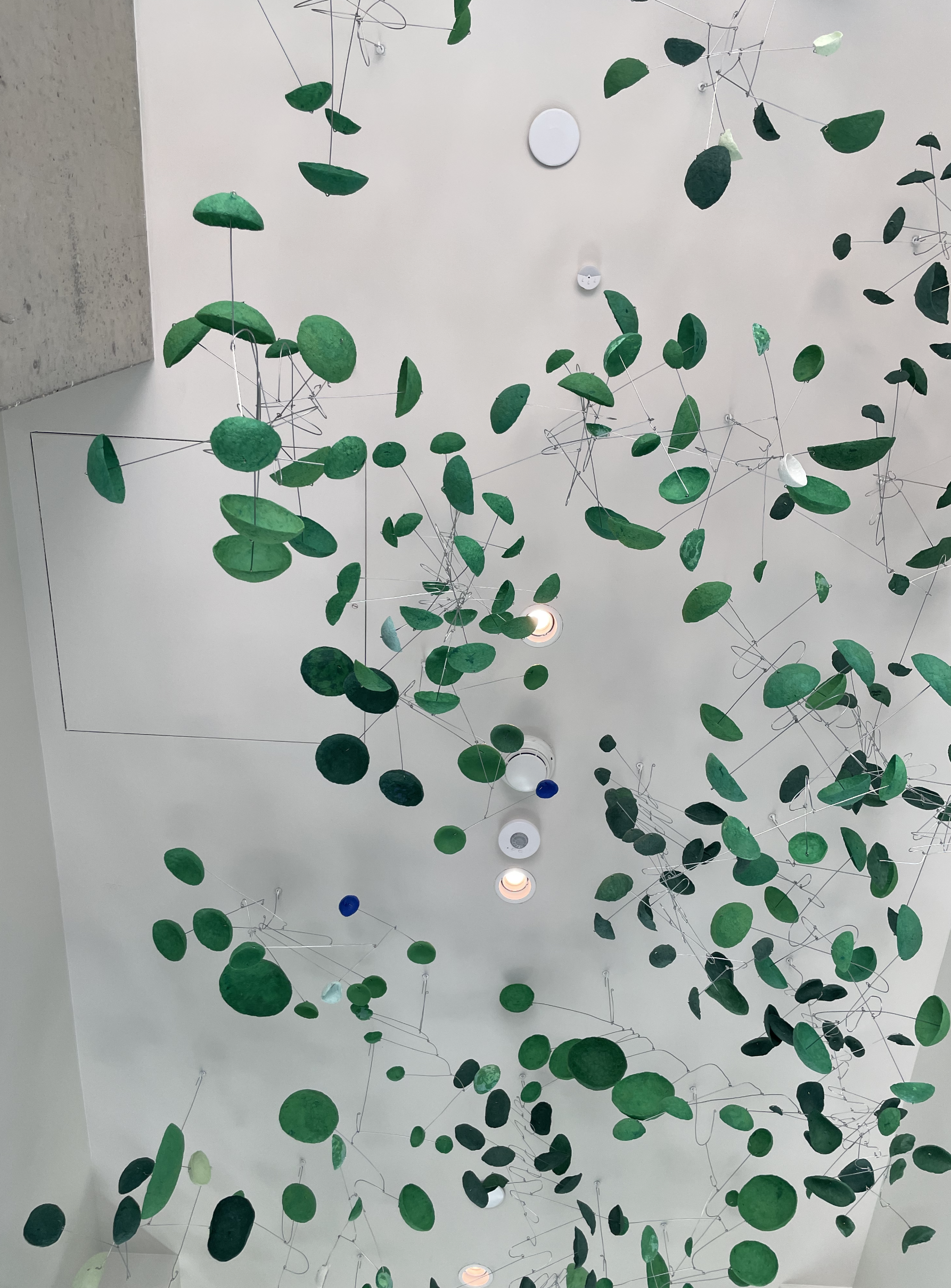 Screen Shot 2023-06-05 at 5.04.58 PM.png