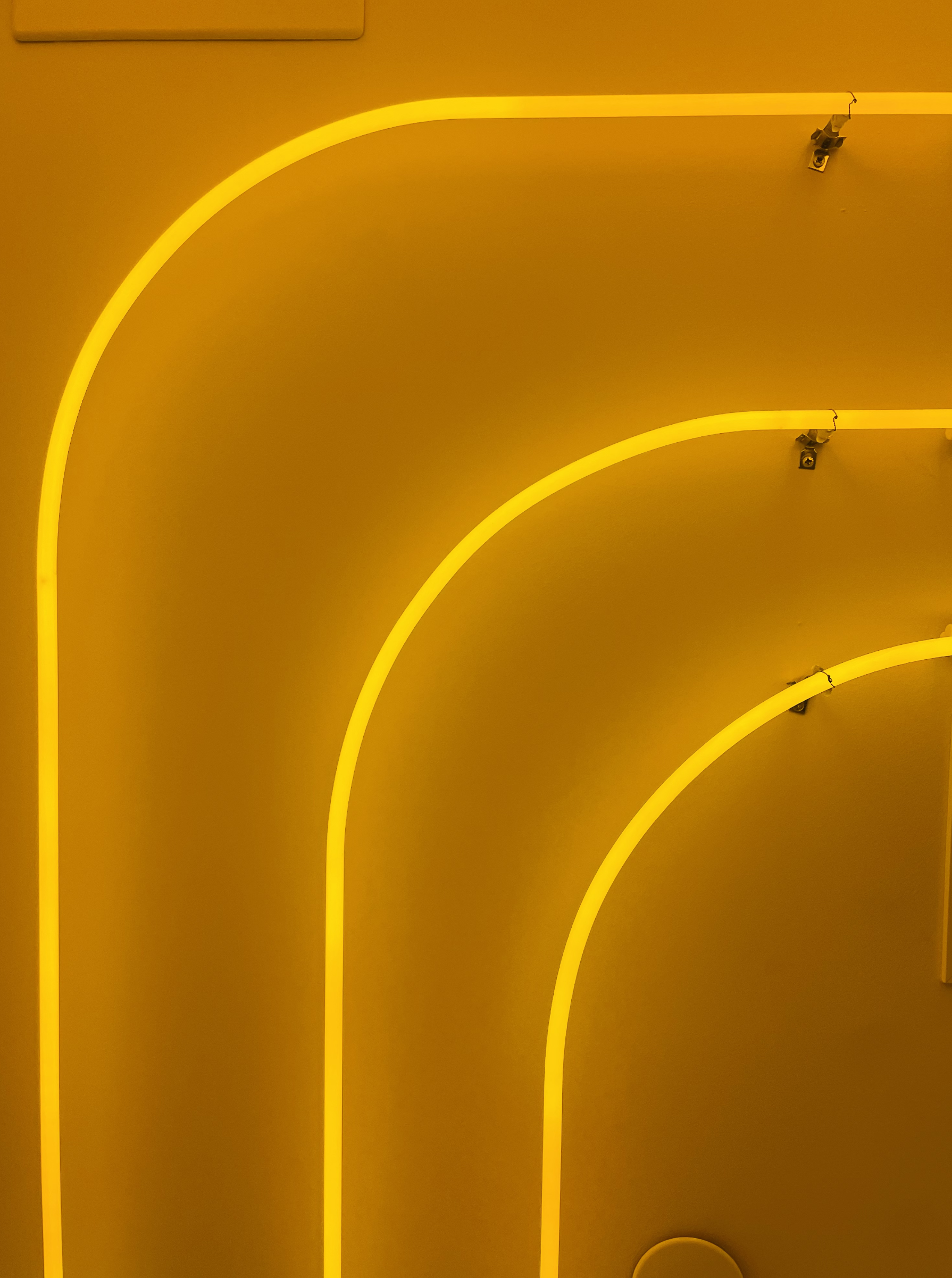 Screen Shot 2023-06-05 at 5.00.50 PM.png