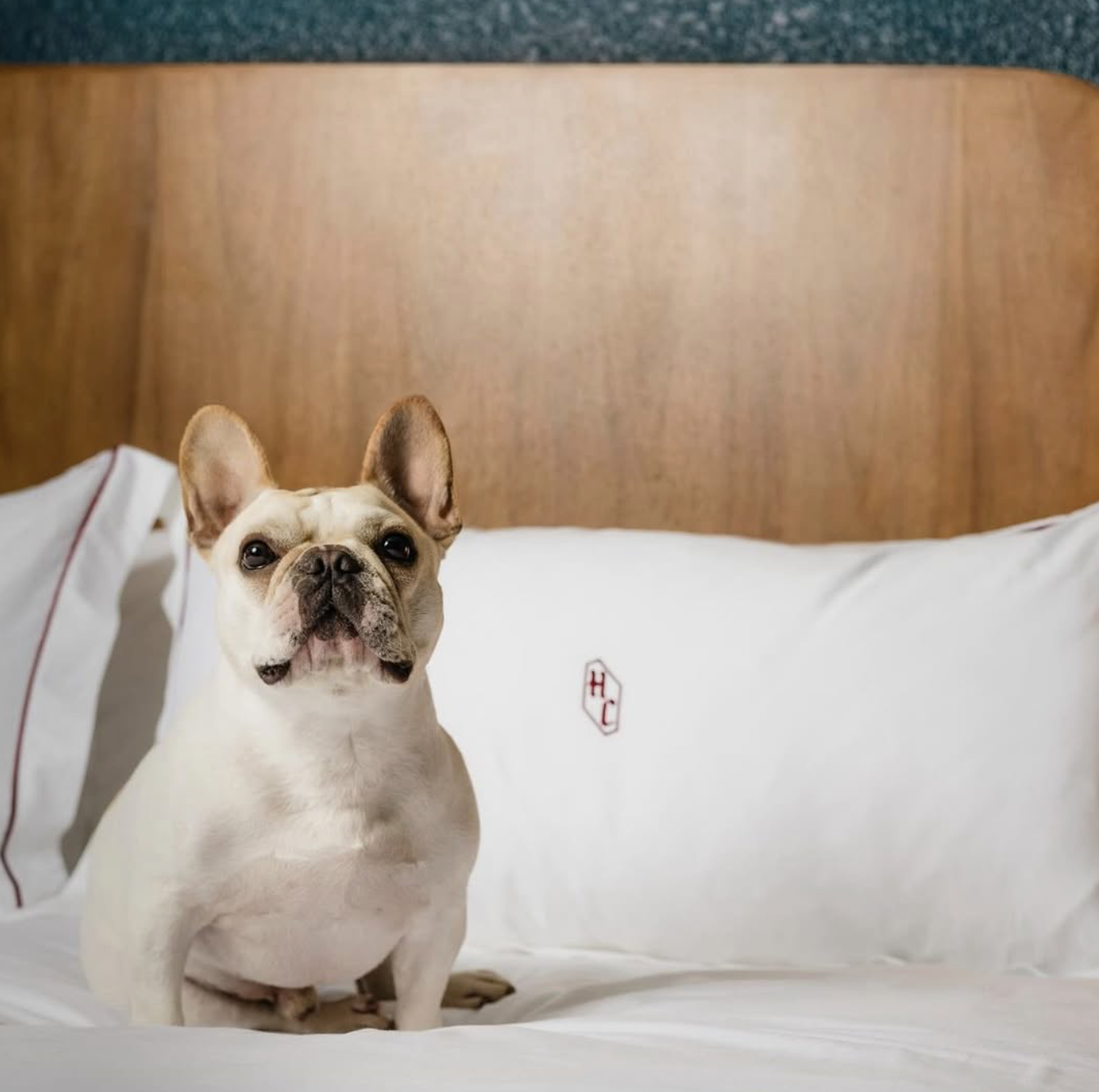 Screenshot 2025-01-08 at 11.26.09 AM.png