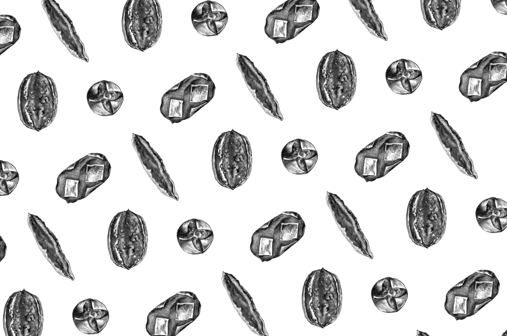 Screen Shot 2021-11-19 at 12.09.26 PM.png