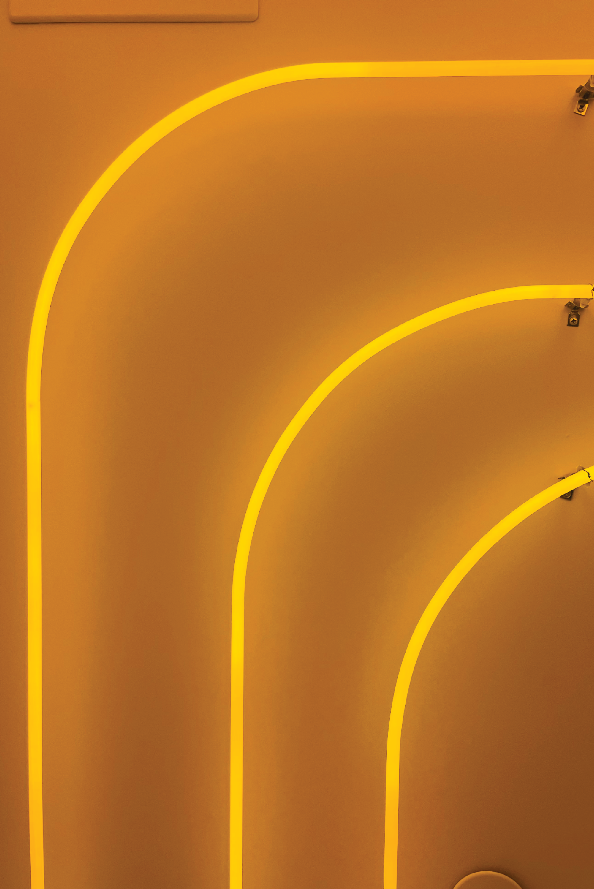 P24.png