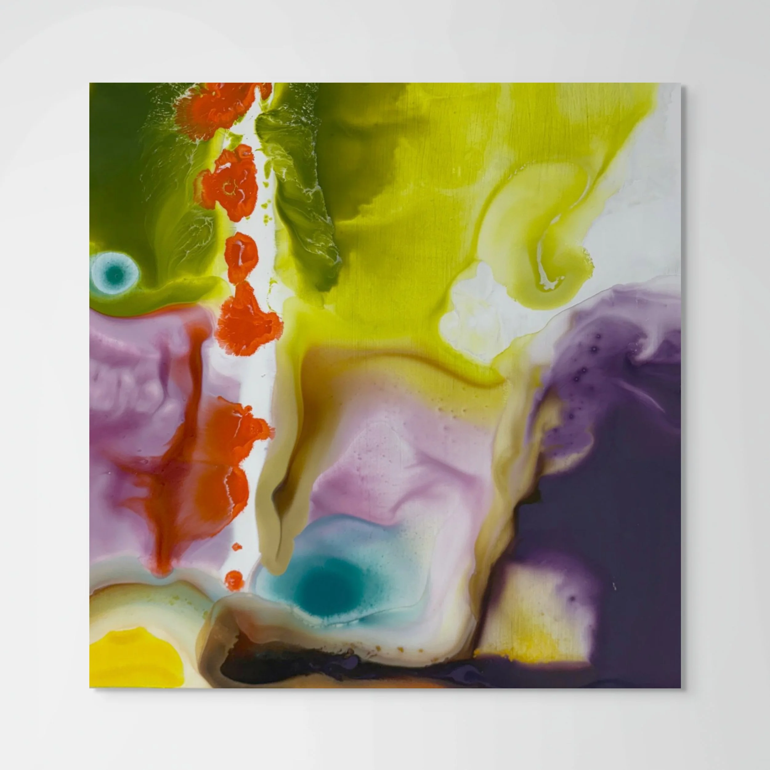 #100dayproject 78/100