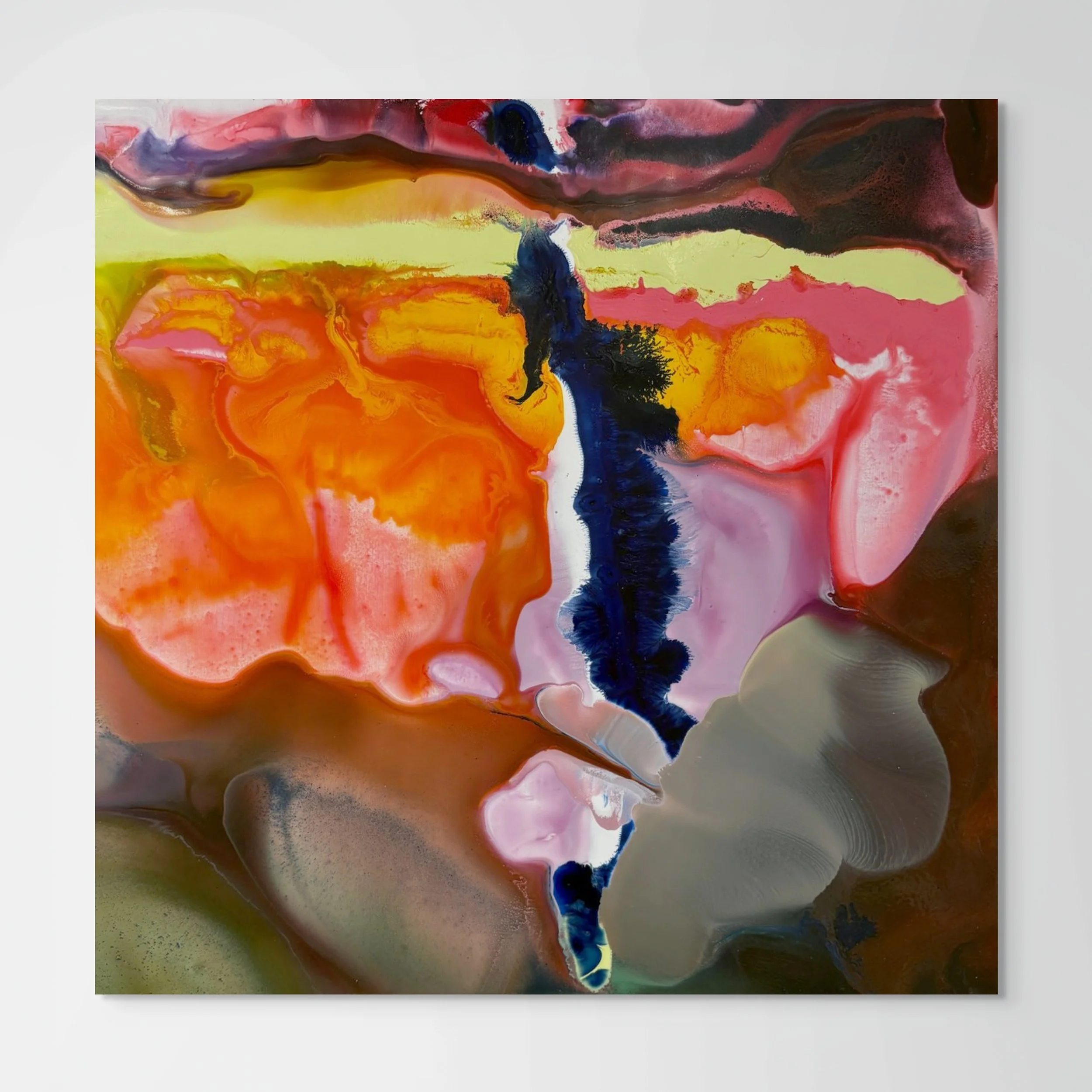 #100dayproject 67/100