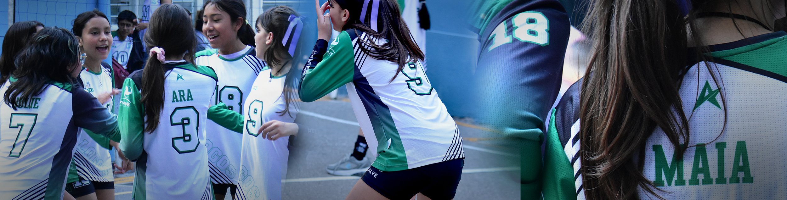 Uniformes de voleibol personalizados para equipo femenil con diseño sublimado en colores verde y blanco.