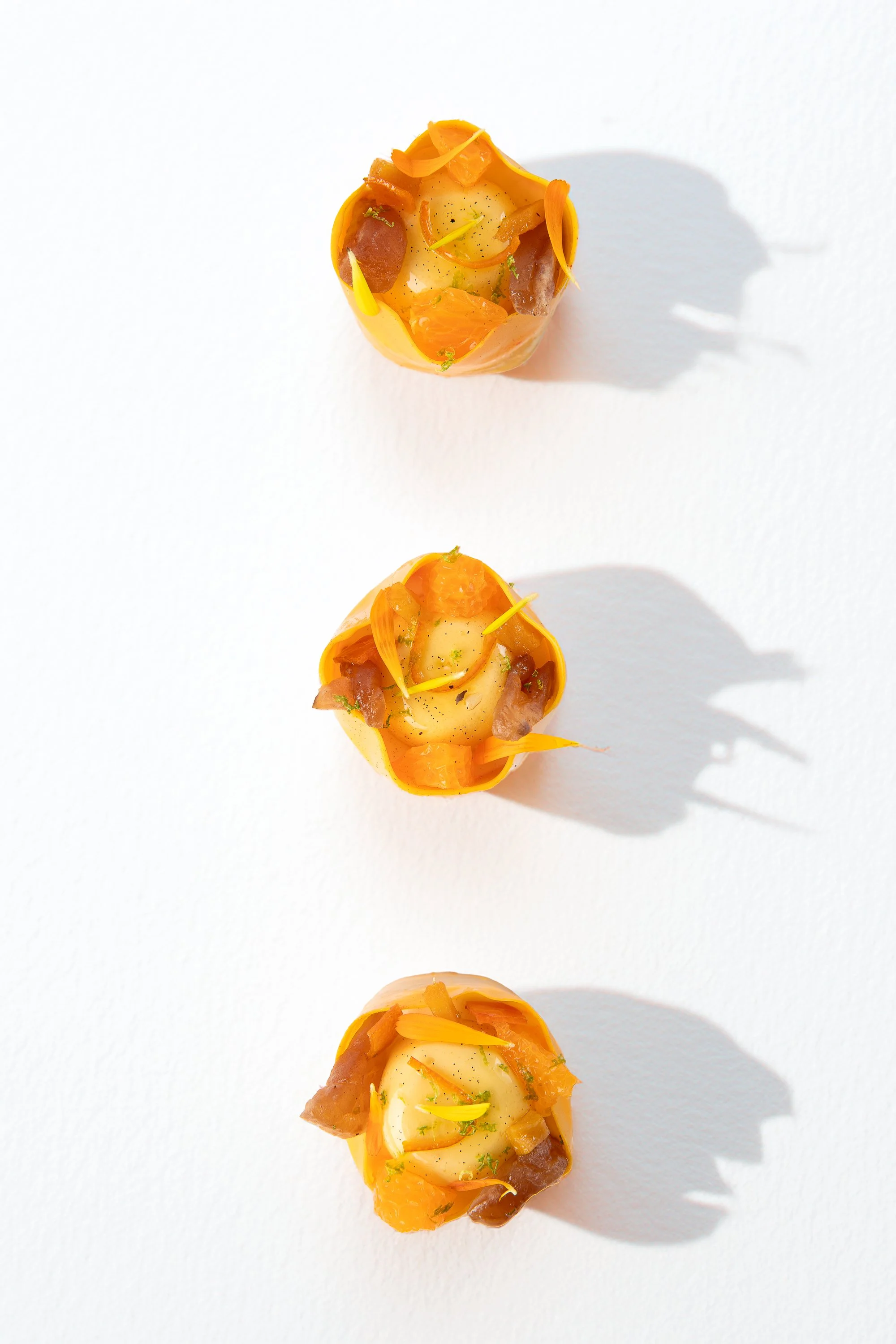 20-9-25 CAROUSEL 1.jpg