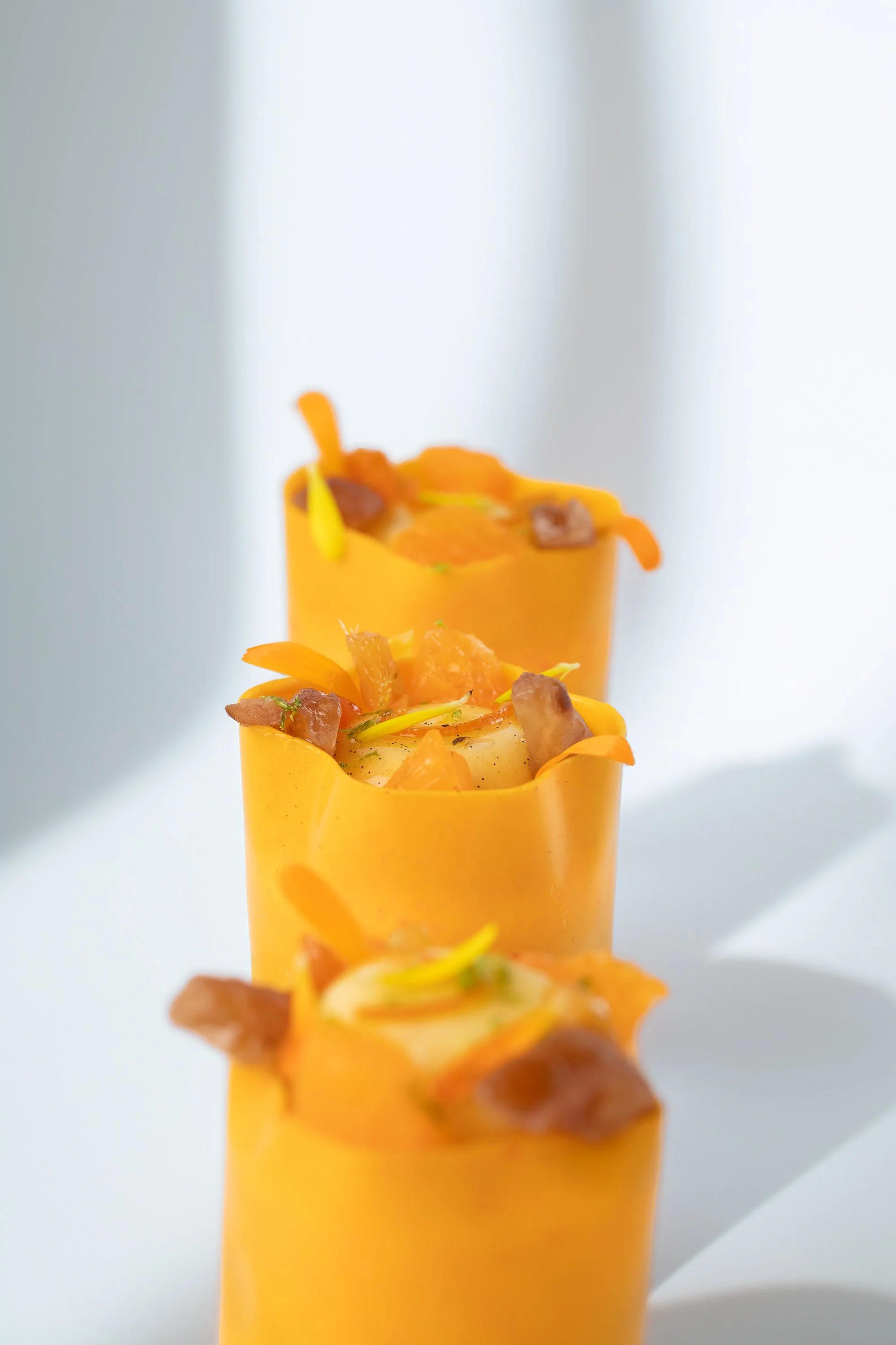 20-9-25 CAROUSEL 2 .jpg