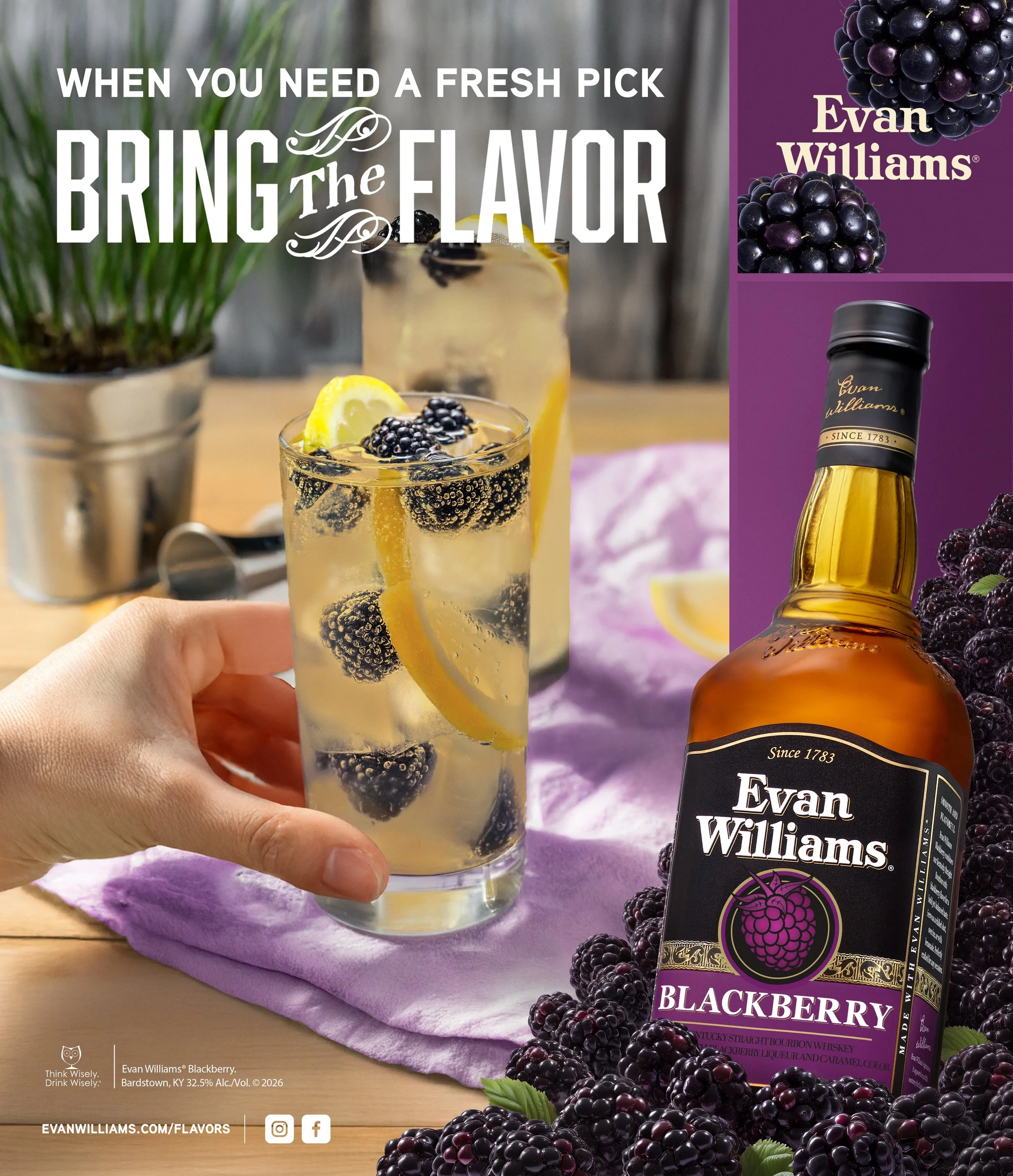 EW_BTF_Blackberry_CaseCard.jpg