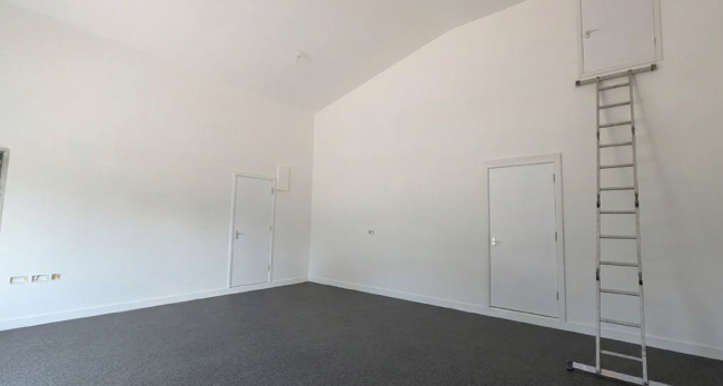 Empty room with white walls, gray carpet, two closed white doors, and a tall metal ladder leaning against a small door or hatch in the ceiling.